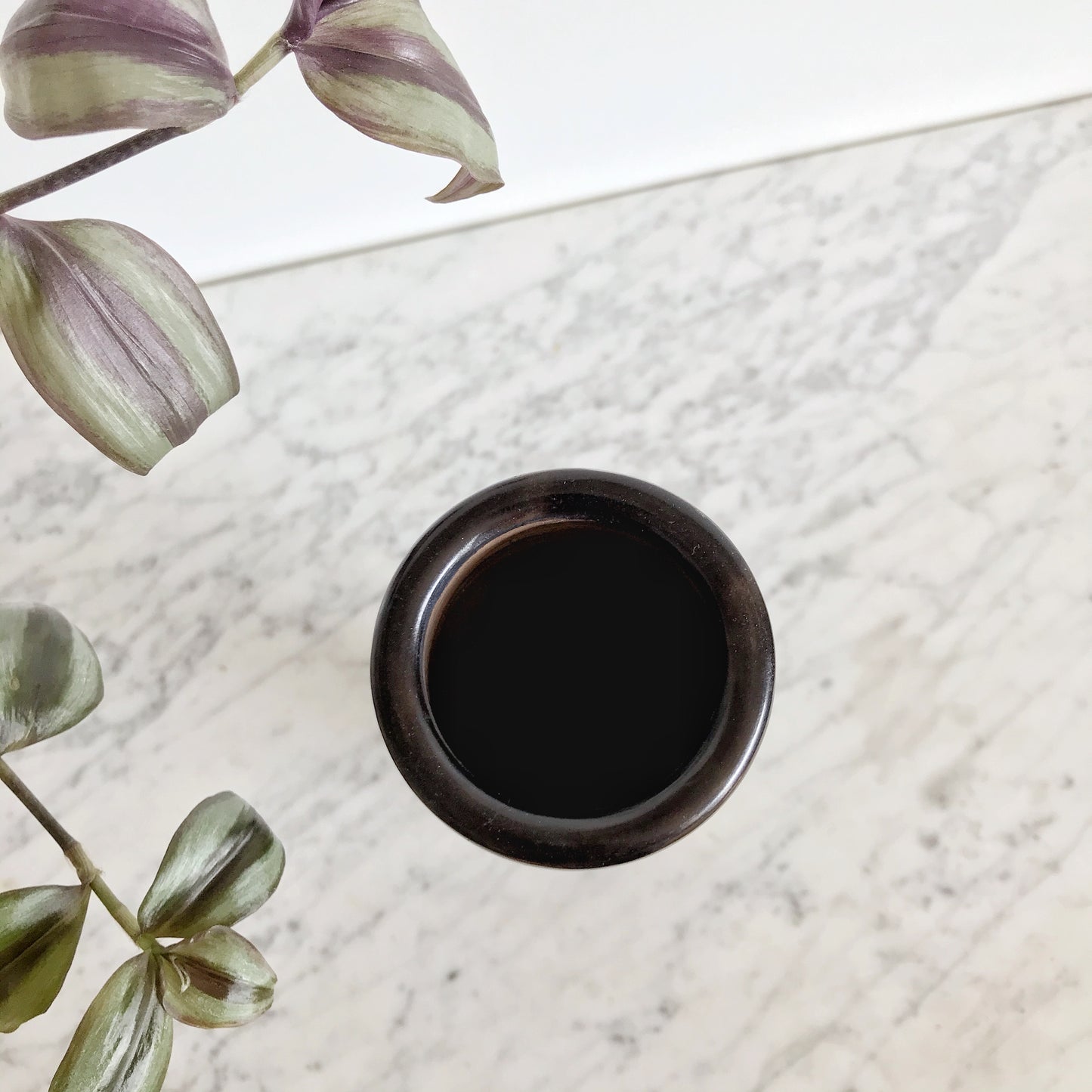 X-Tall Minimalist Modern Ceramic Vase