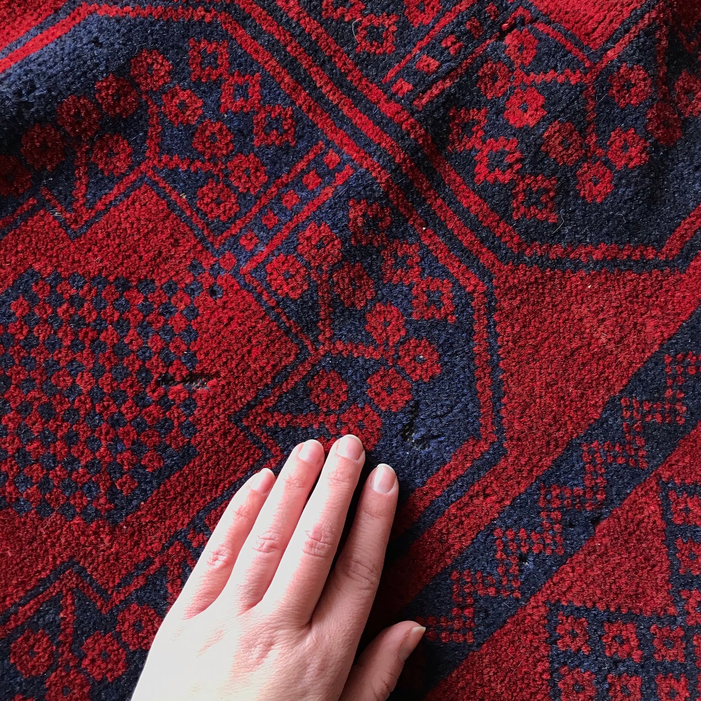 Wesley | Area Rug | 3 x 5.6