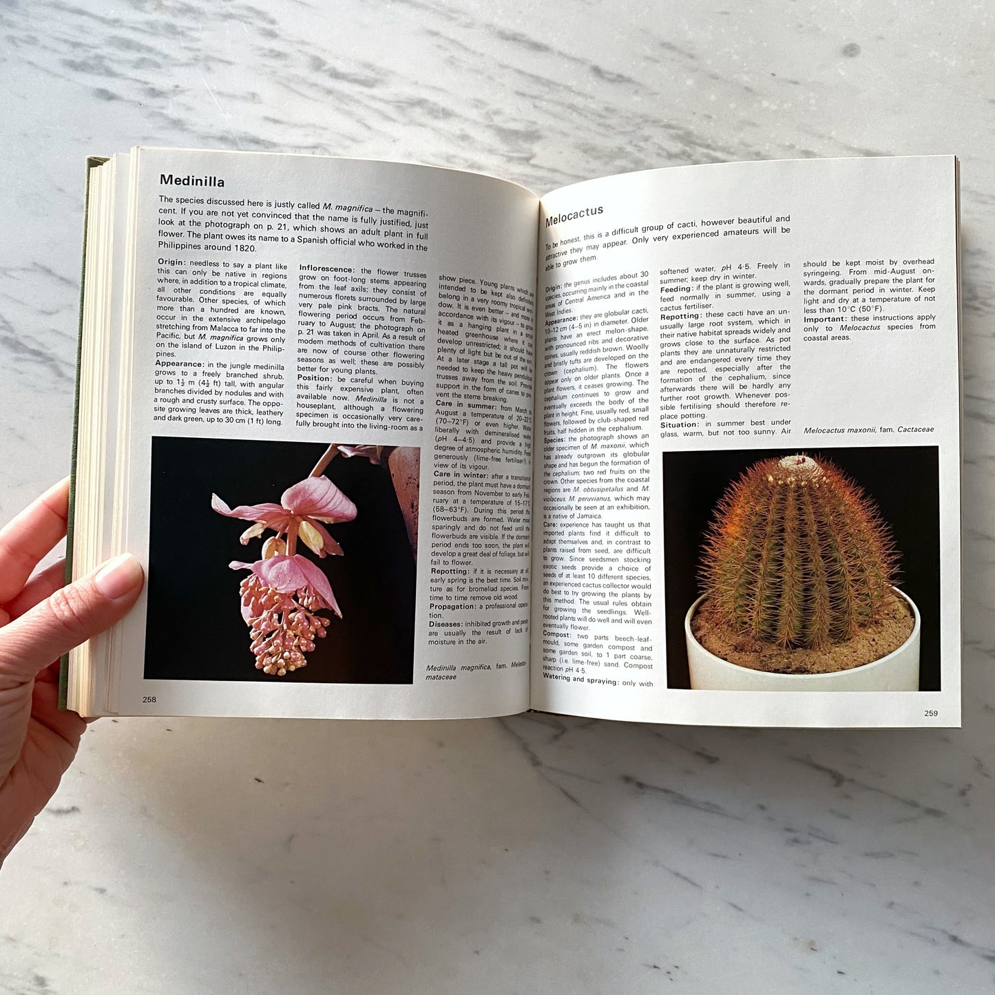 Book:  The Treasury of Houseplants (1974)