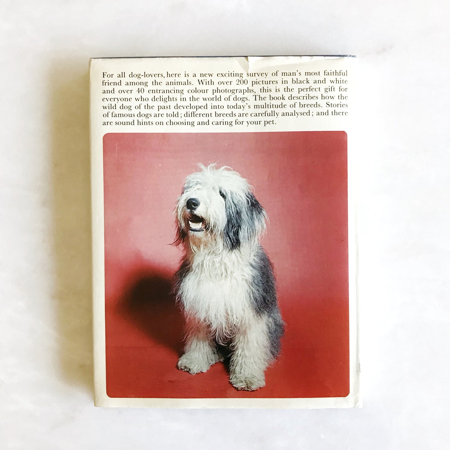 Book: The Beauty of Dogs