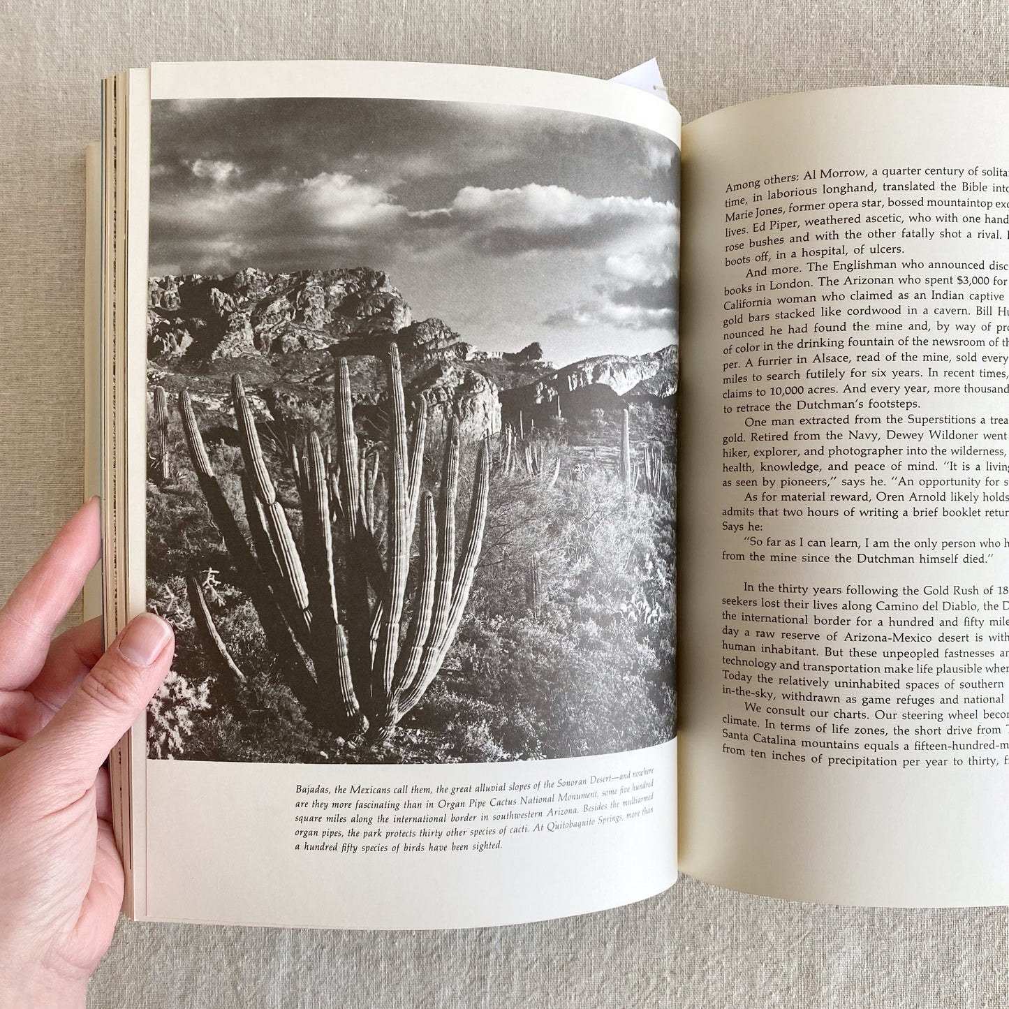 Book: Arizona the Beautiful