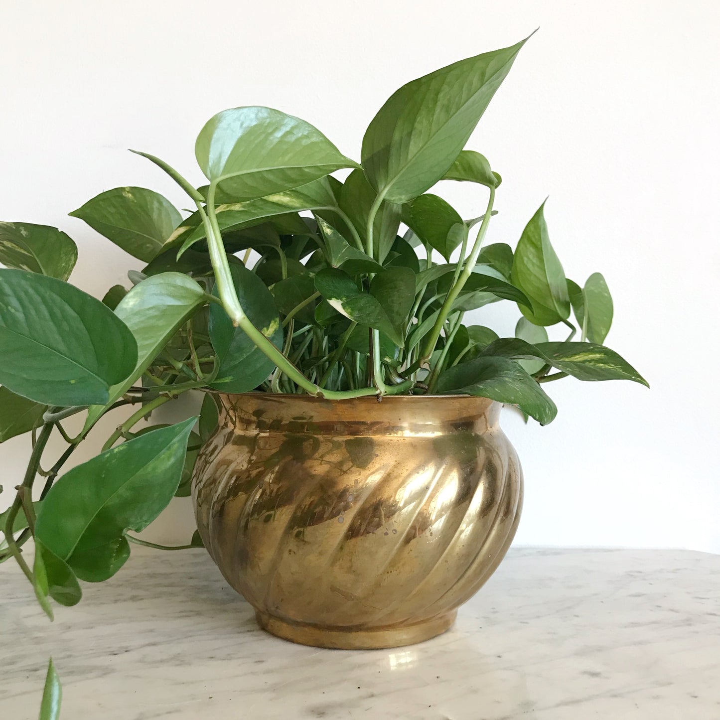 Medium Vintage Brass Planter, India