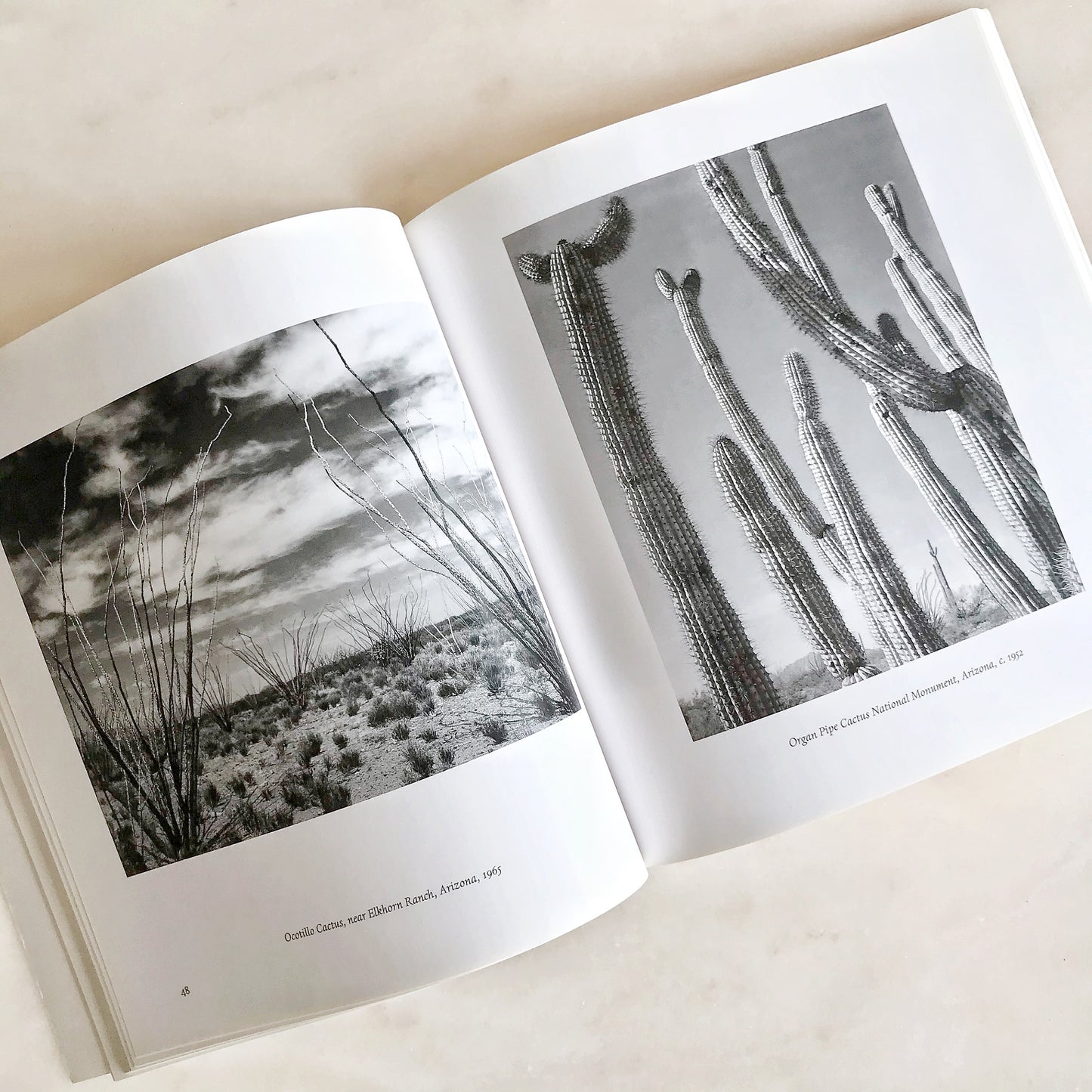 Book: The Grand Canyon and the Southwest