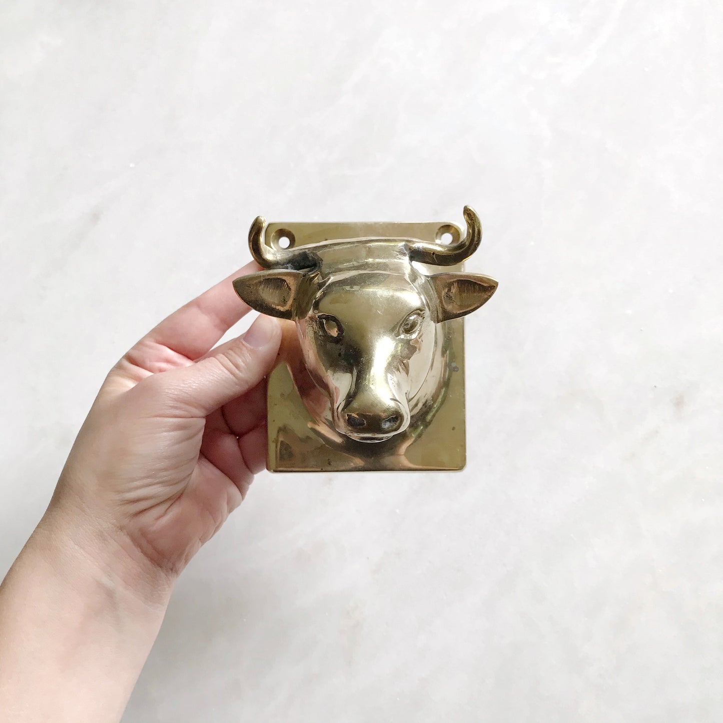 XL Vintage Brass Bull Wall Hook
