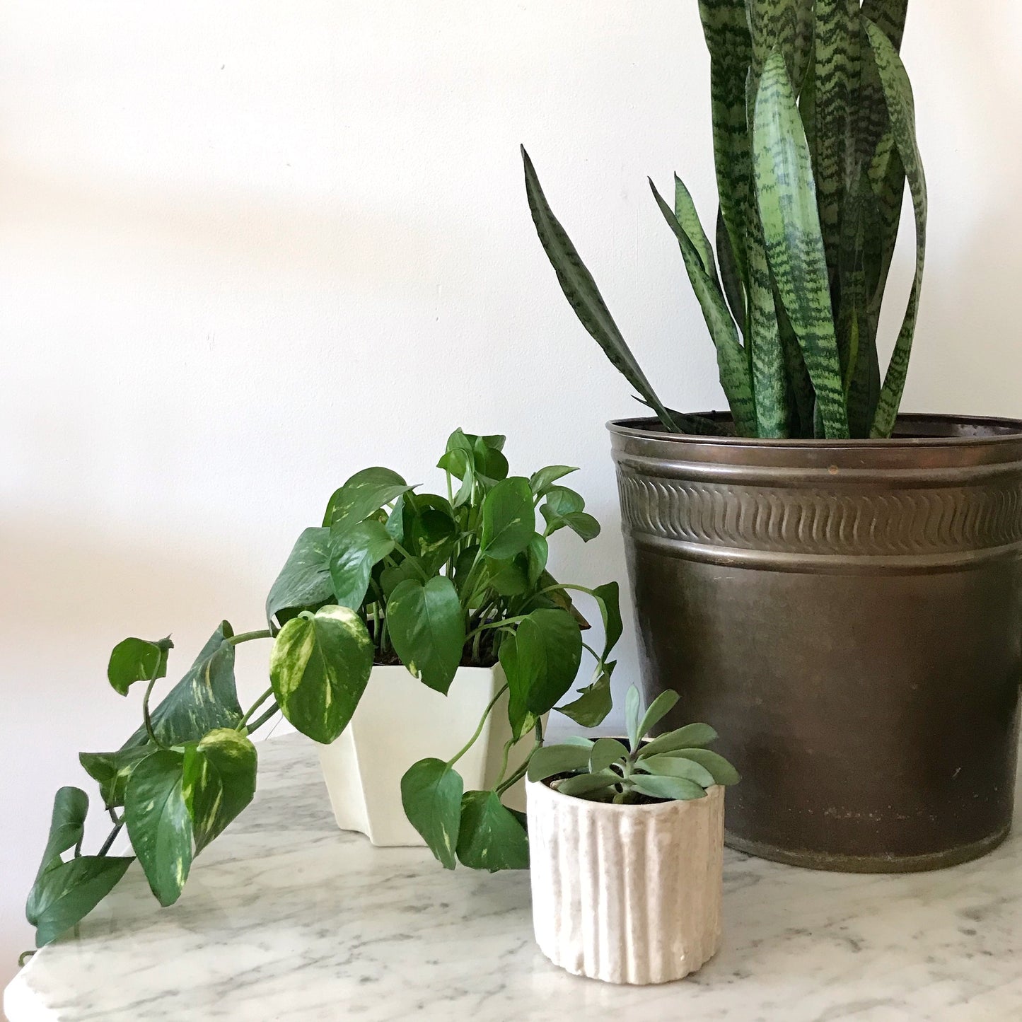 XL Brass Indoor Tree Planter, Swirl Border