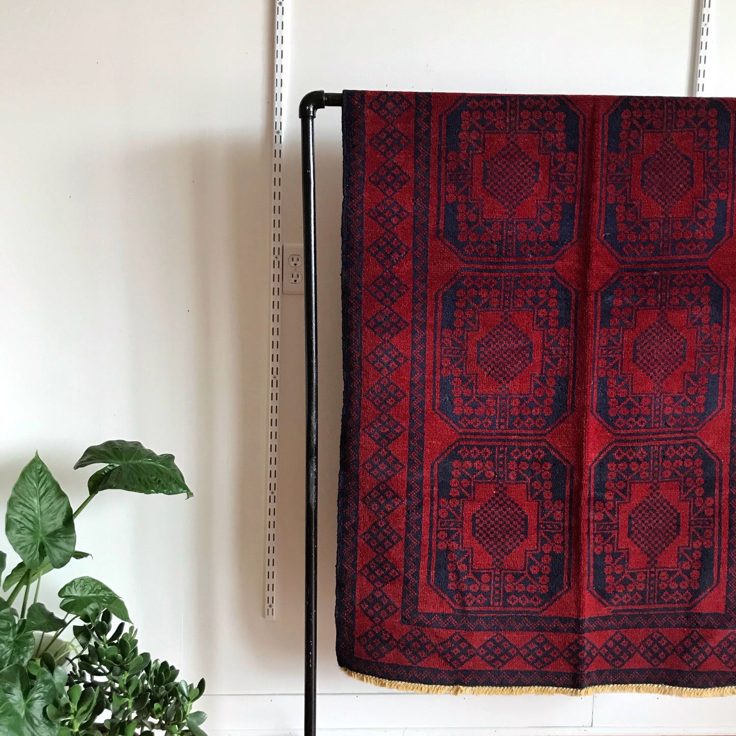 Wesley | Area Rug | 3 x 5.6
