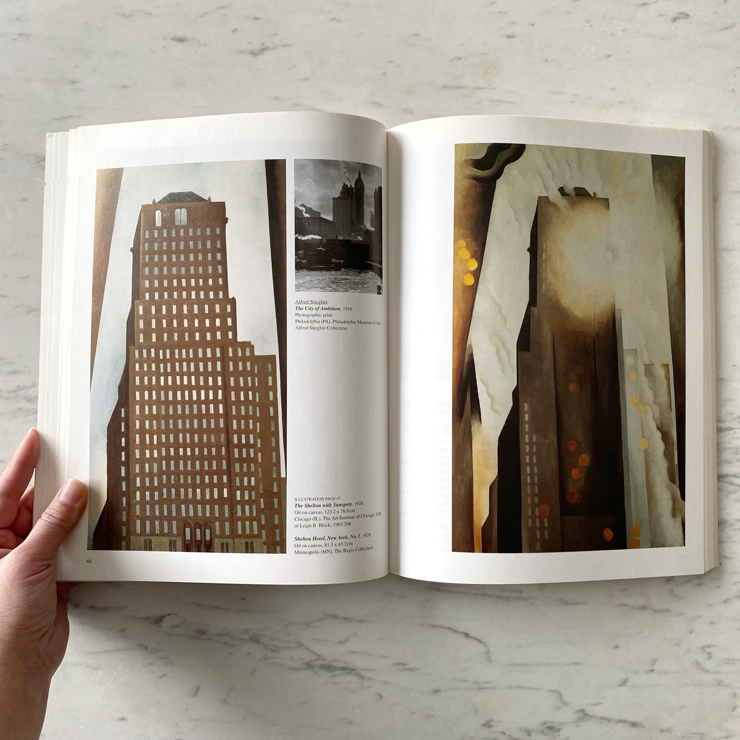 Book: Georgia O'Keeffe: Flowers in the Desert