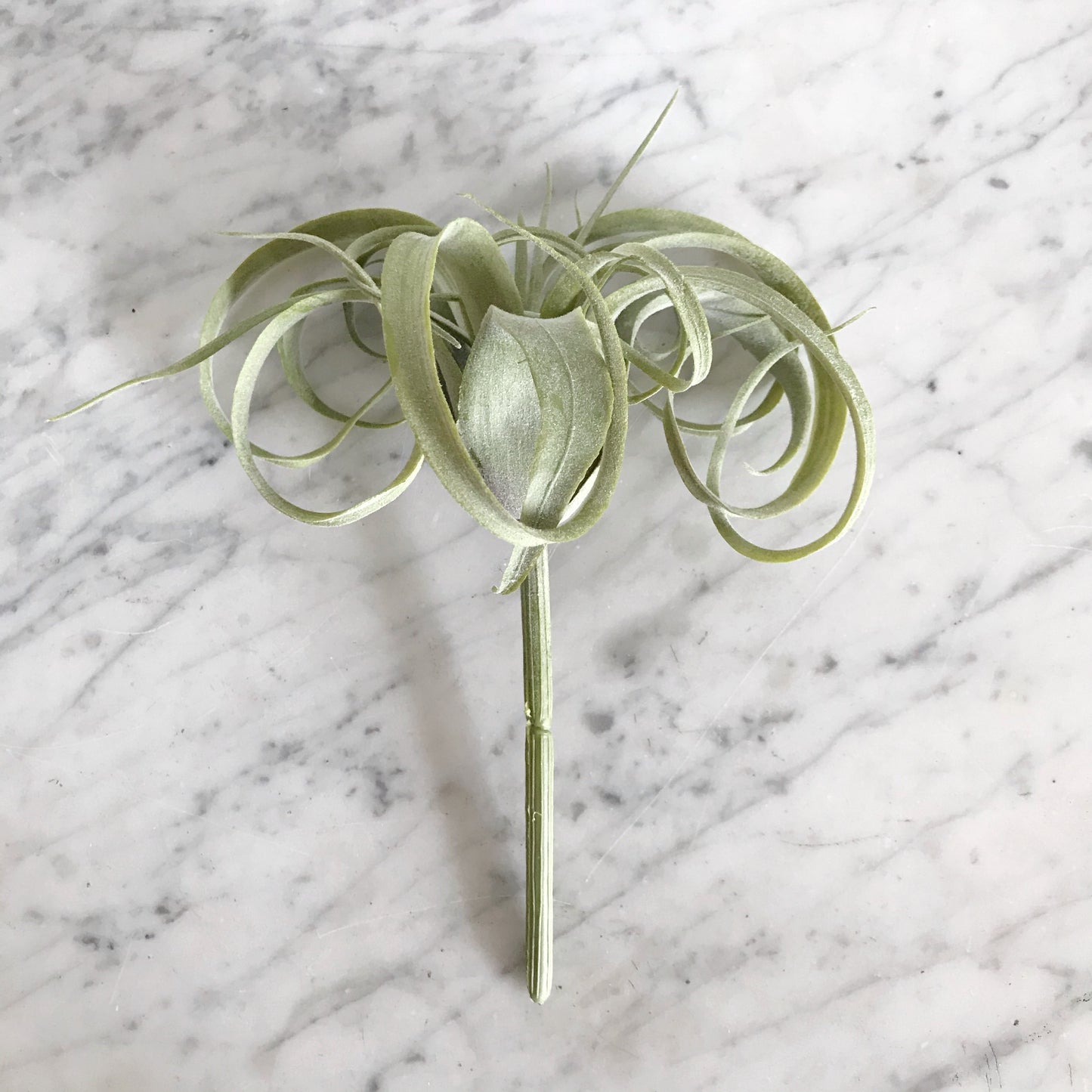 Faux 8" Tillabdsia Air Plant