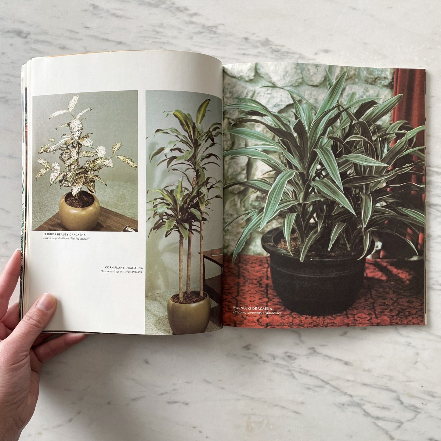 Book: Professional Guide to Green Plants (1976)