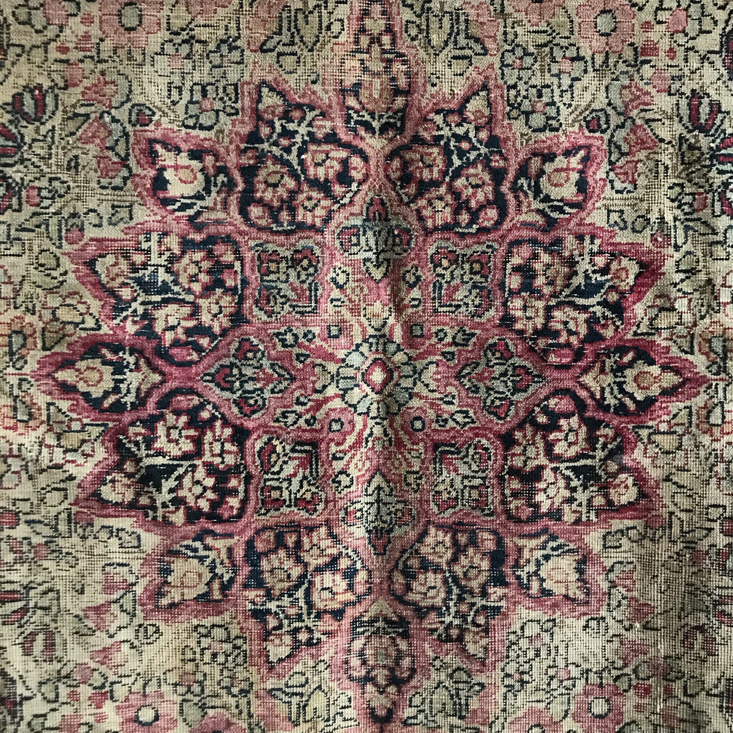 “ANNA” Antique Hand-knotted Rug (4.1 x 6.5)