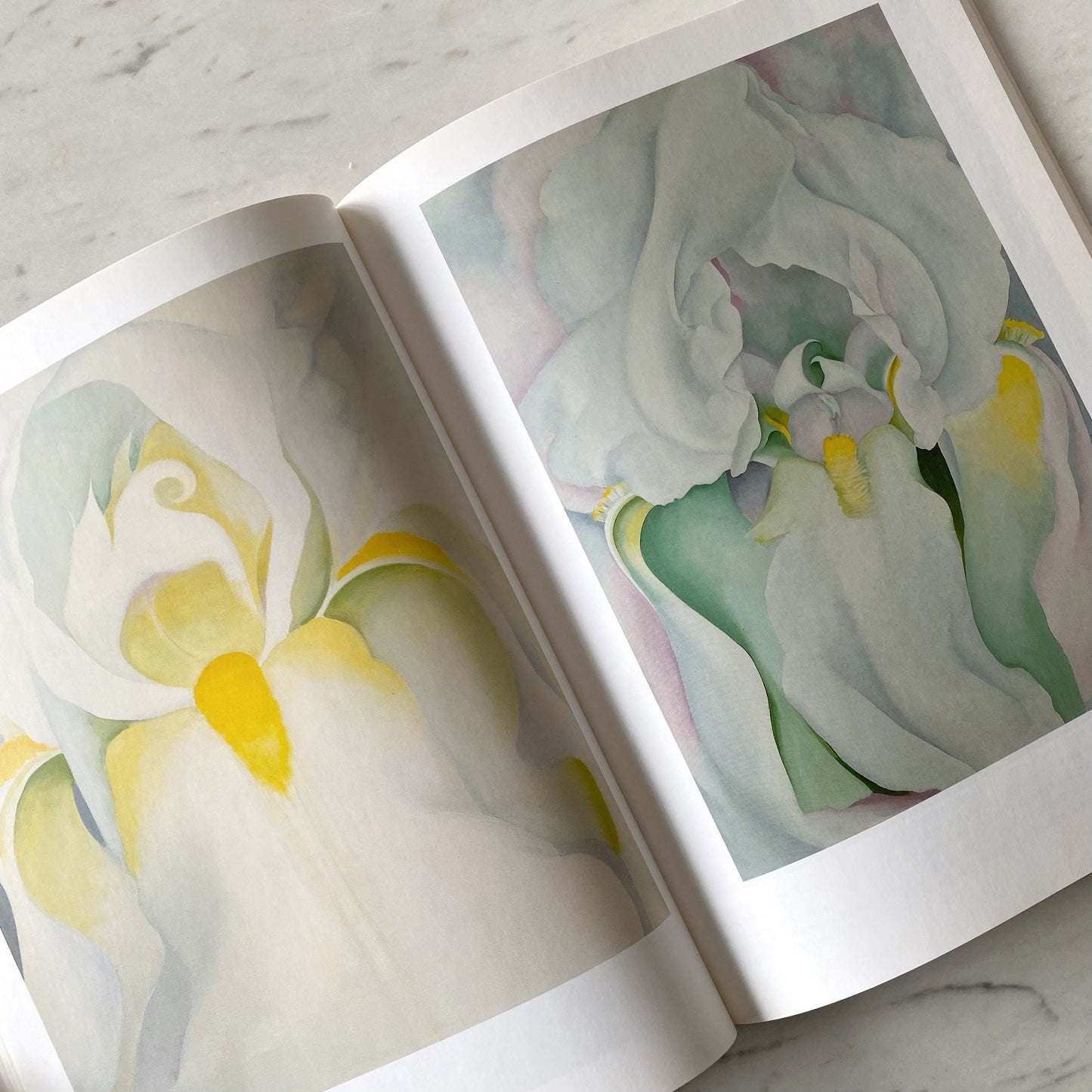 Book: Georgia O'Keeffe: Flowers in the Desert