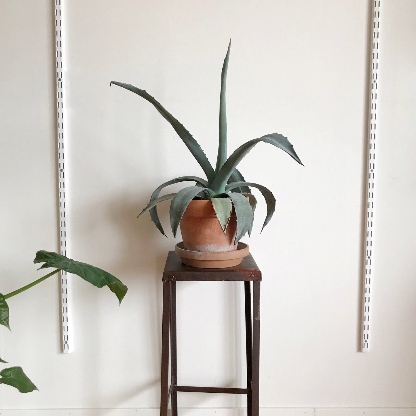 Vintage Minimal Industrial Plant Stand