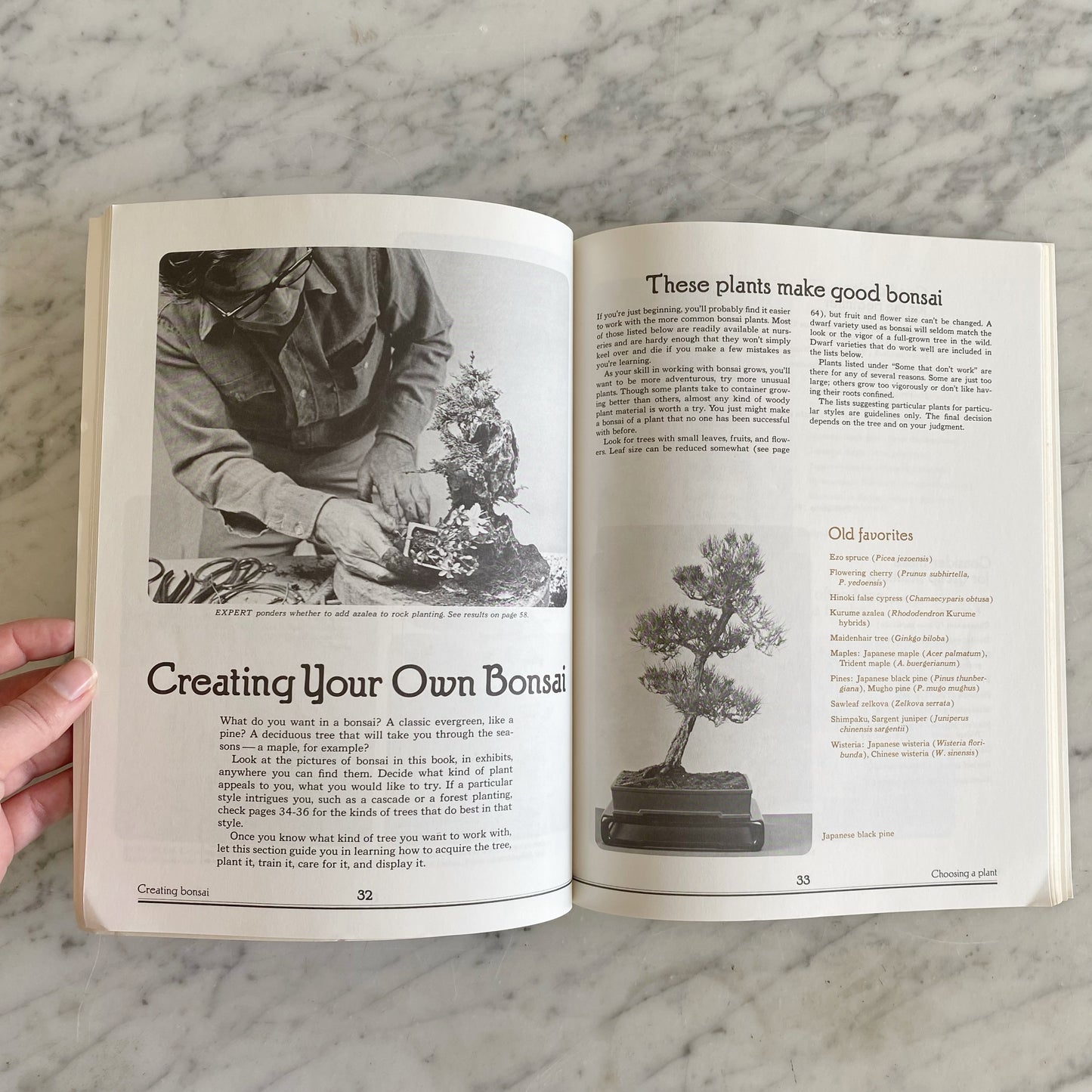 Book: Bonsai, An Illustrated Guide to the Ancient Art