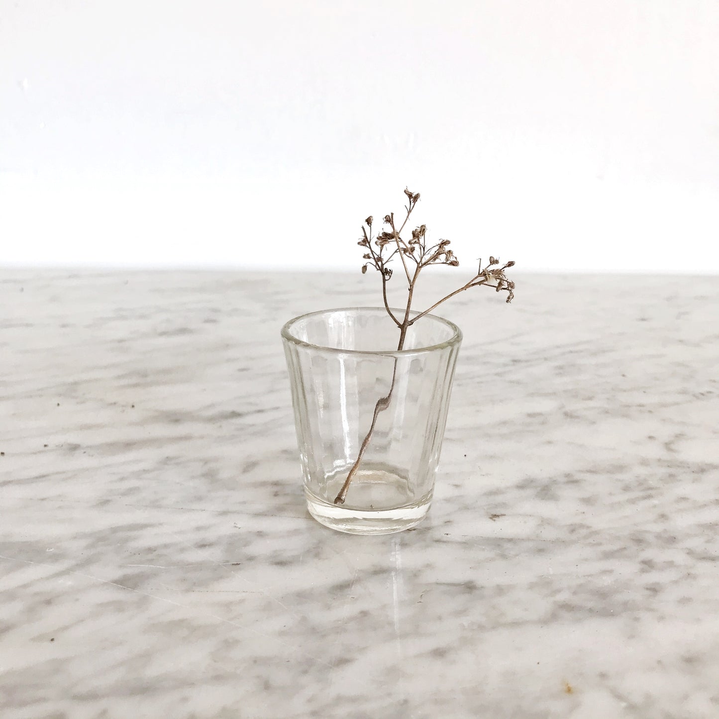 Clear Ribbed-Glass Shot Glass