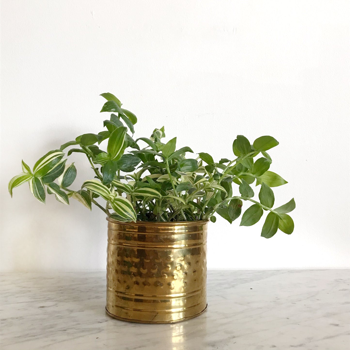 Vintage Cylinder Brass Planter