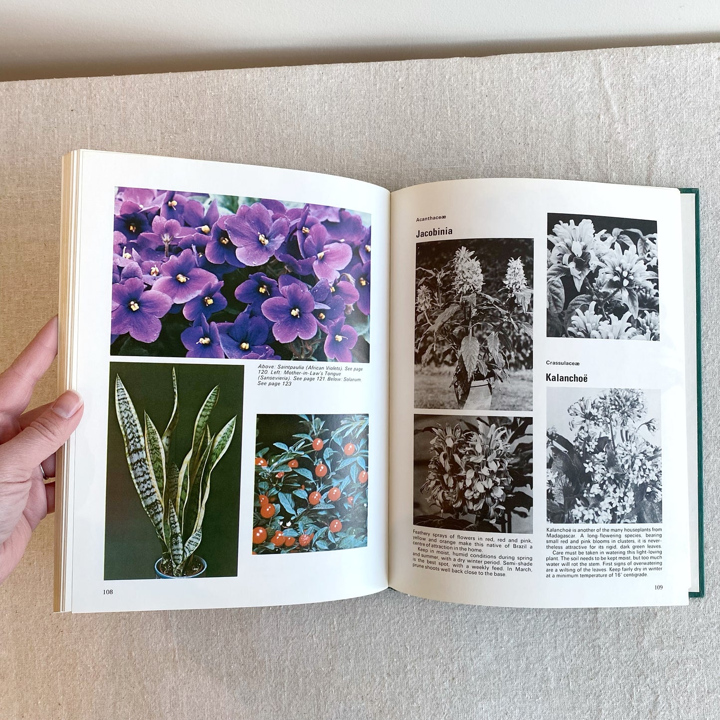 Book: Indoor Plants, 1973