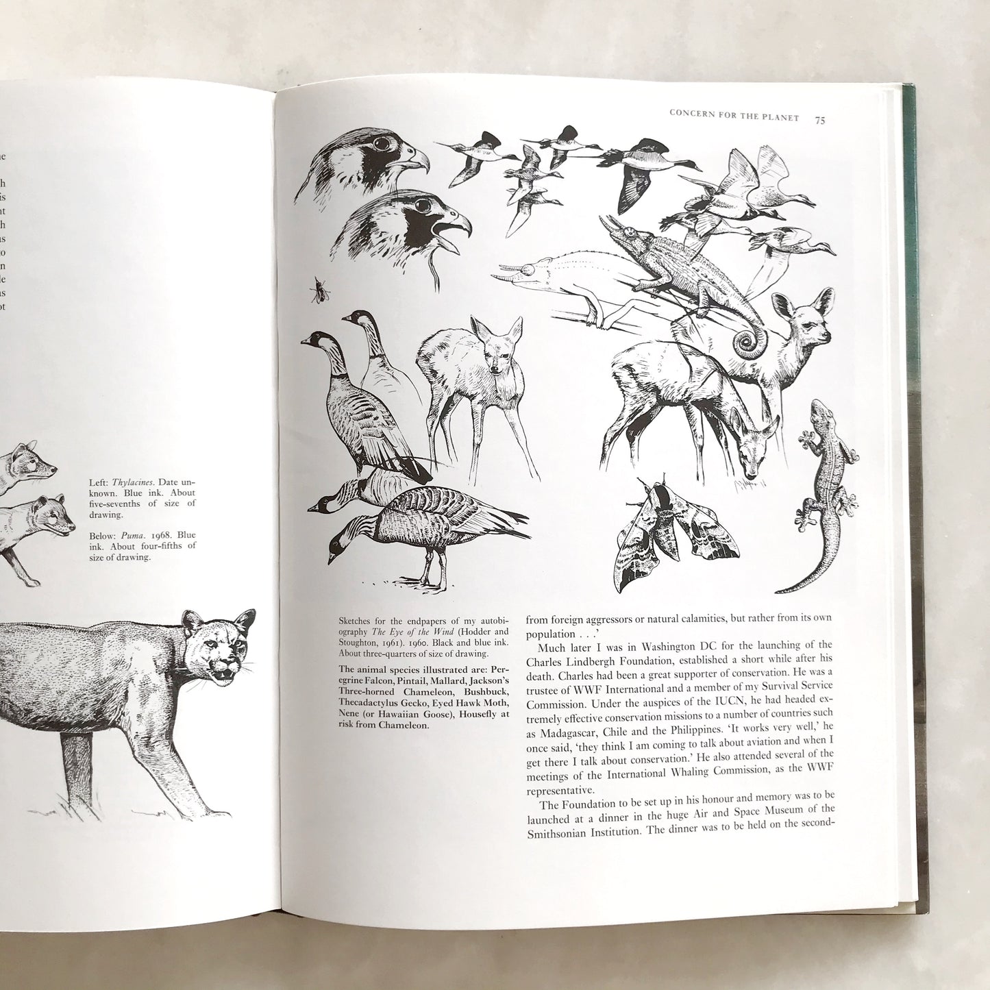 Book: Peter Scott: Observations of Wildlife
