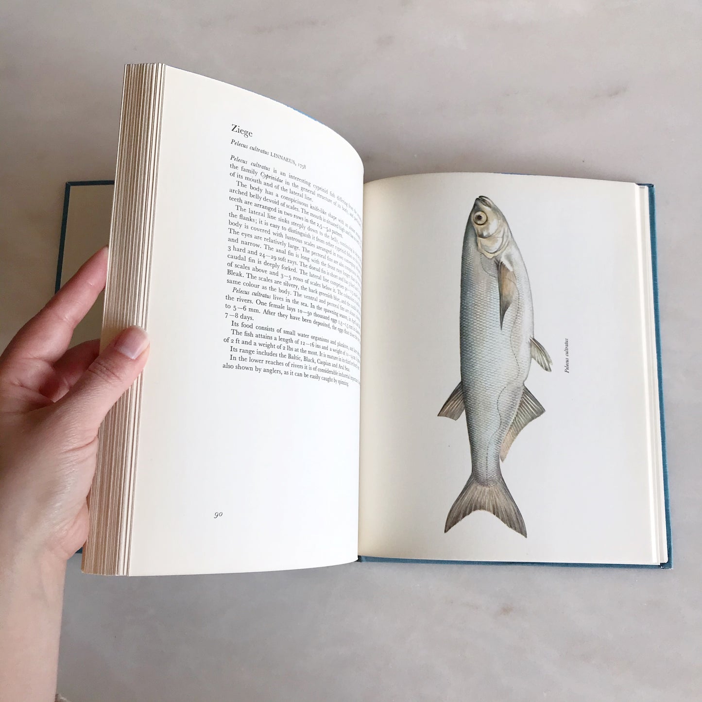 Book: Fresh-Water Fishes