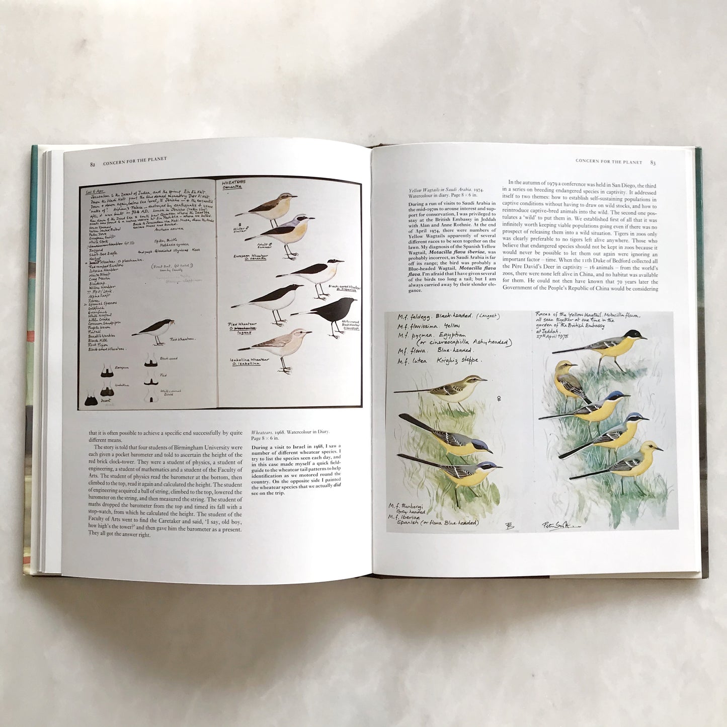 Book: Peter Scott: Observations of Wildlife