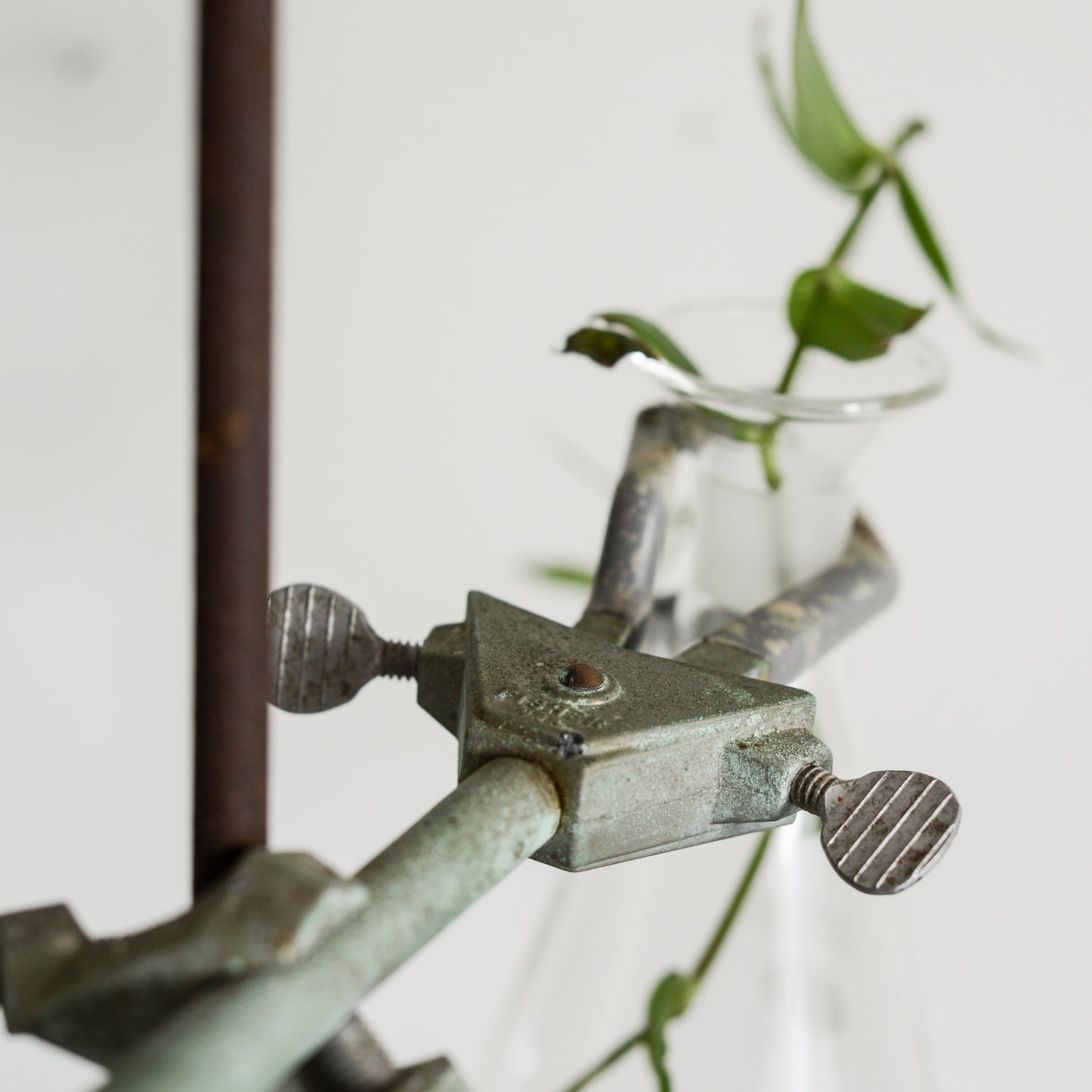 Vintage Industrial Science Beaker + Stand