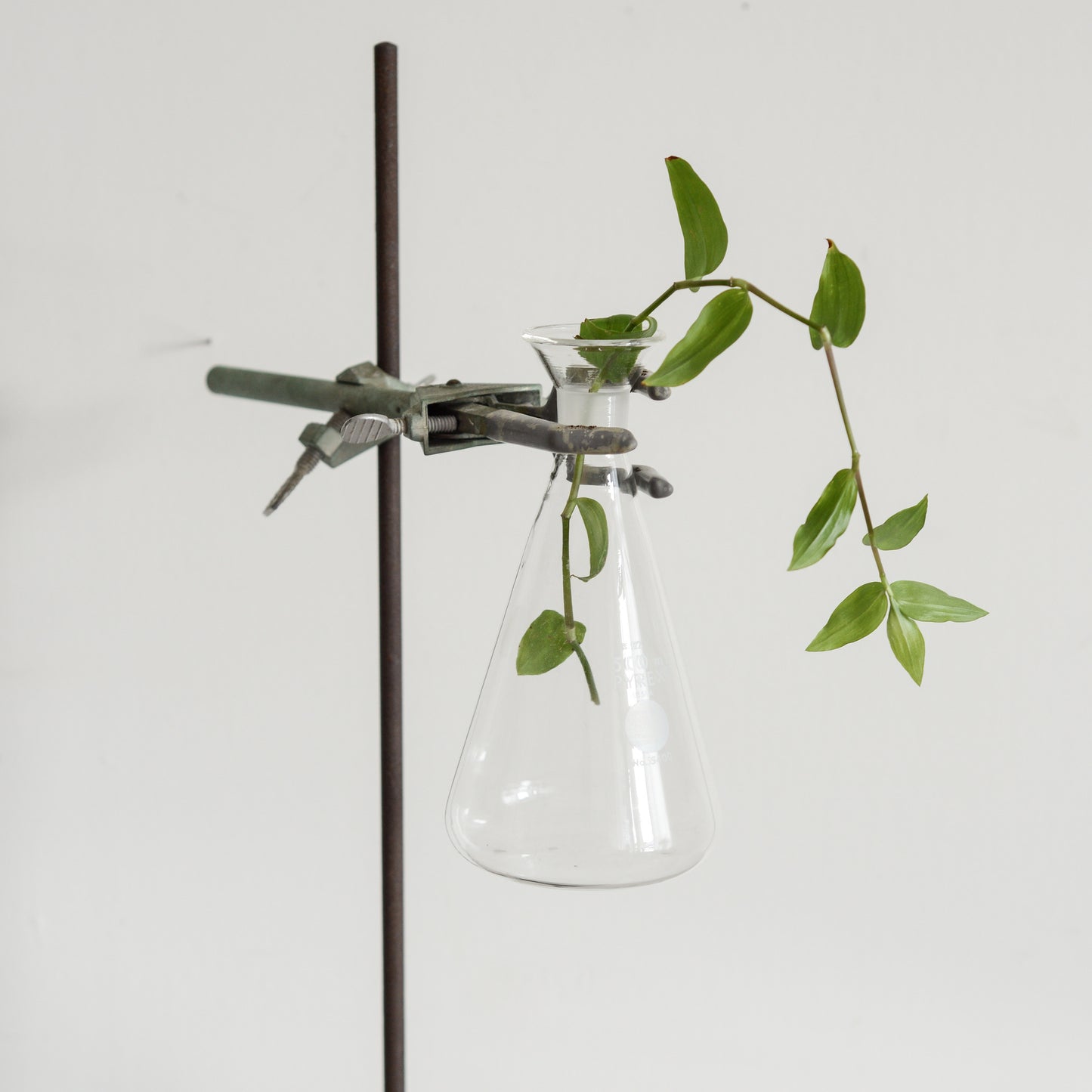 Vintage Industrial Science Beaker + Stand