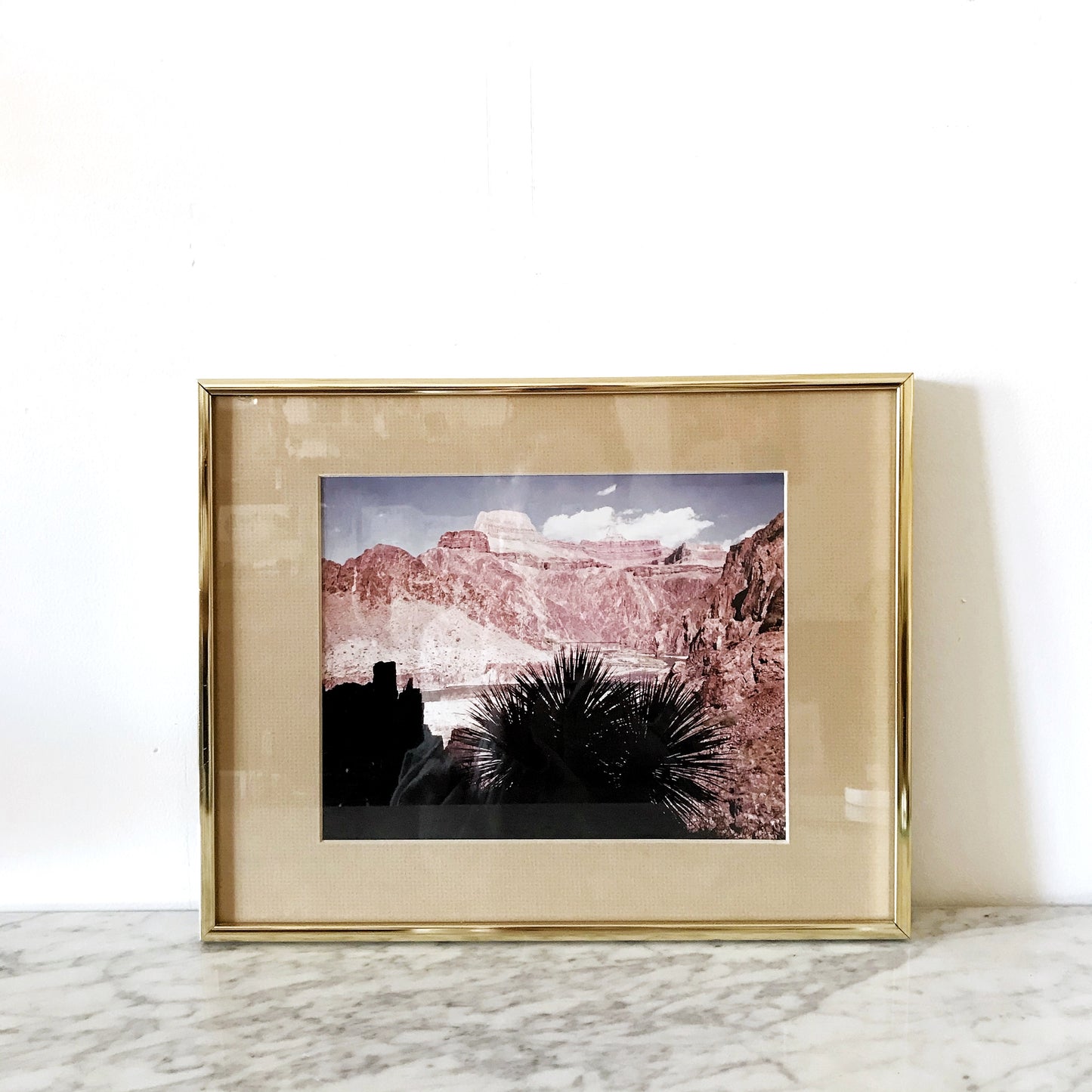 Vintage Photograph, Southwestern Landscape