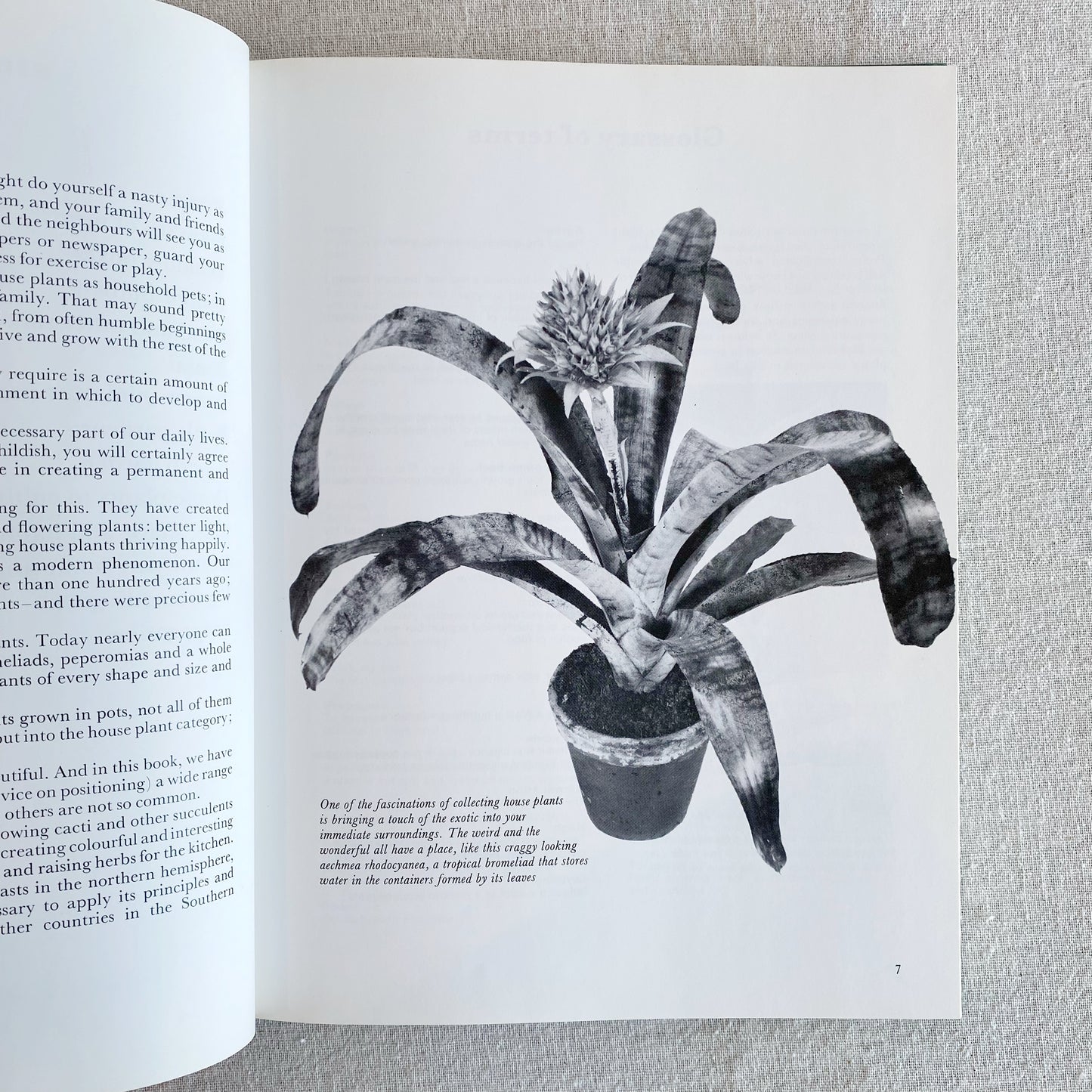 Book: Indoor Plants, 1973