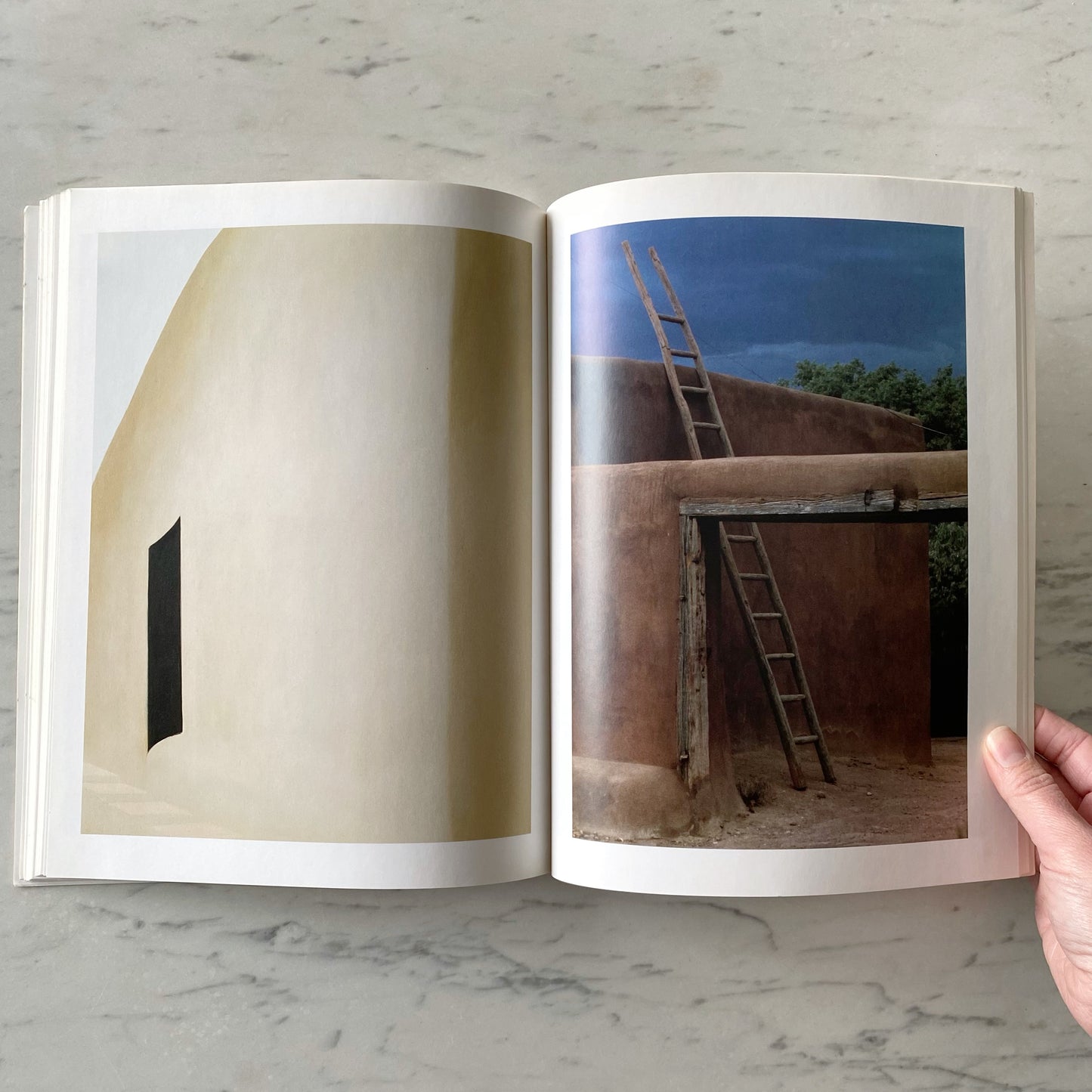 Book: Georgia O'Keeffe: Flowers in the Desert