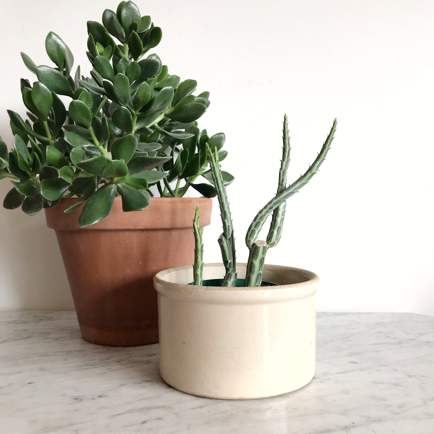 Vintage Sandy Stoneware Crock Planter