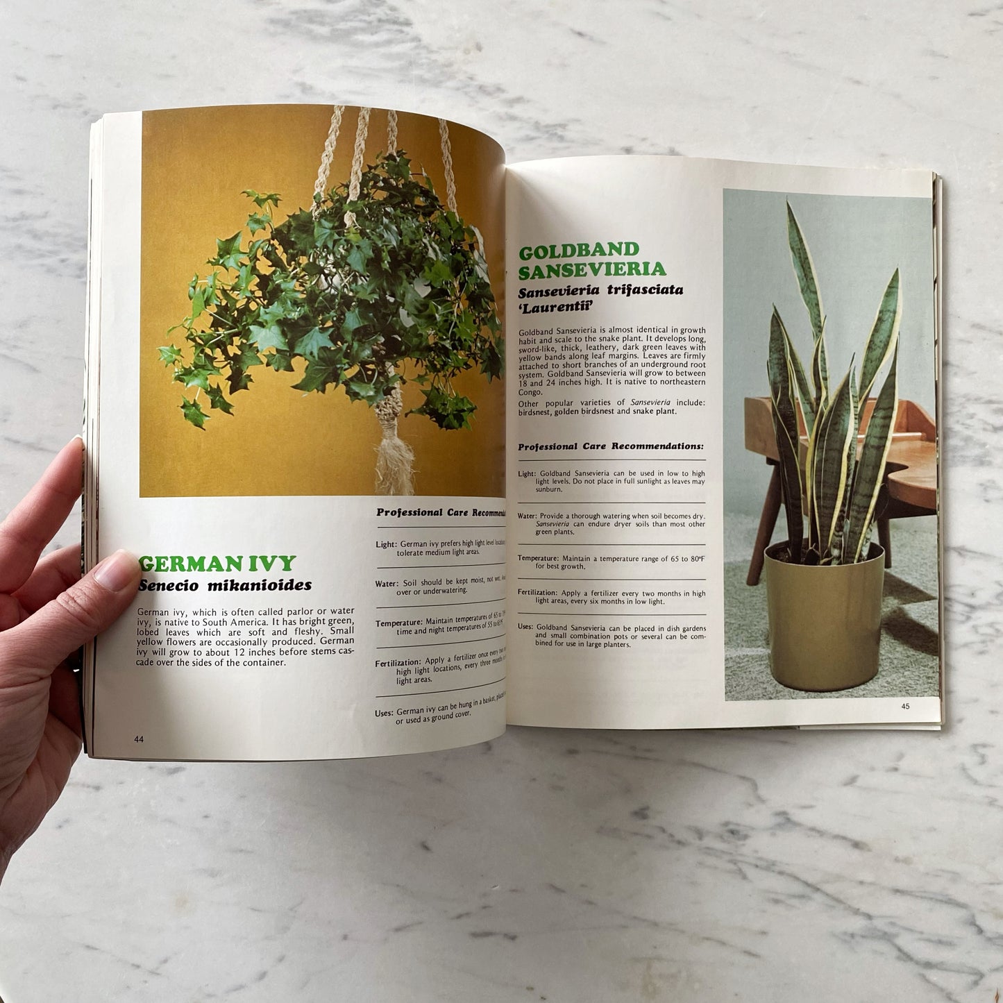 Book: Professional Guide to Green Plants (1976)