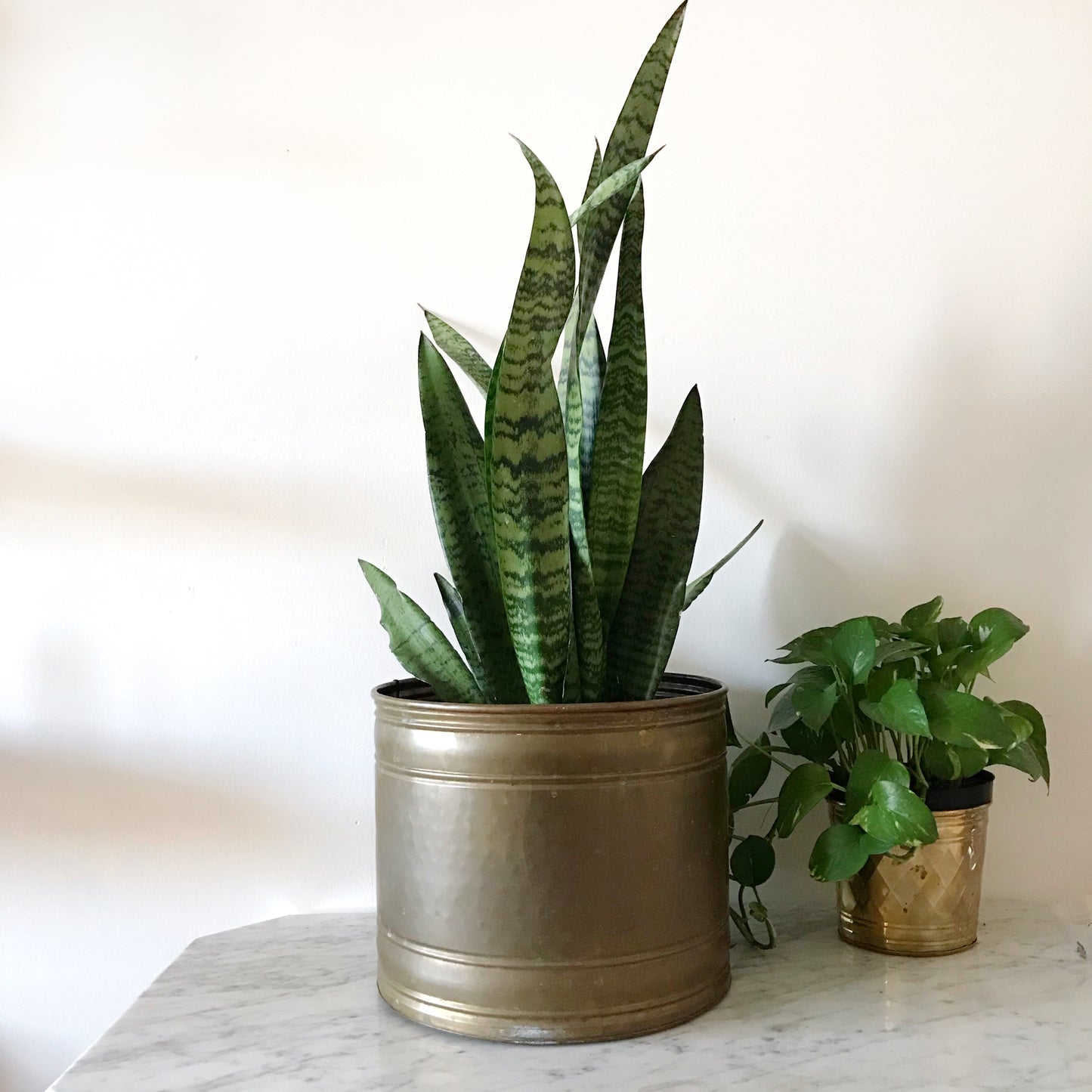 X-Large Vintage Brass Planter