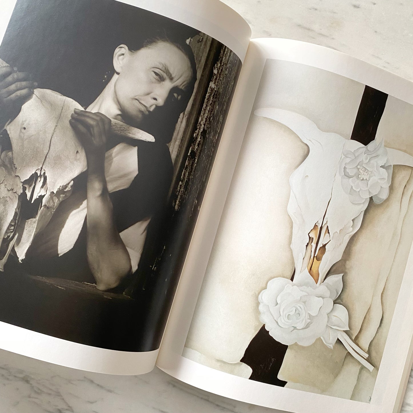 Book: Georgia O'Keeffe: Flowers in the Desert