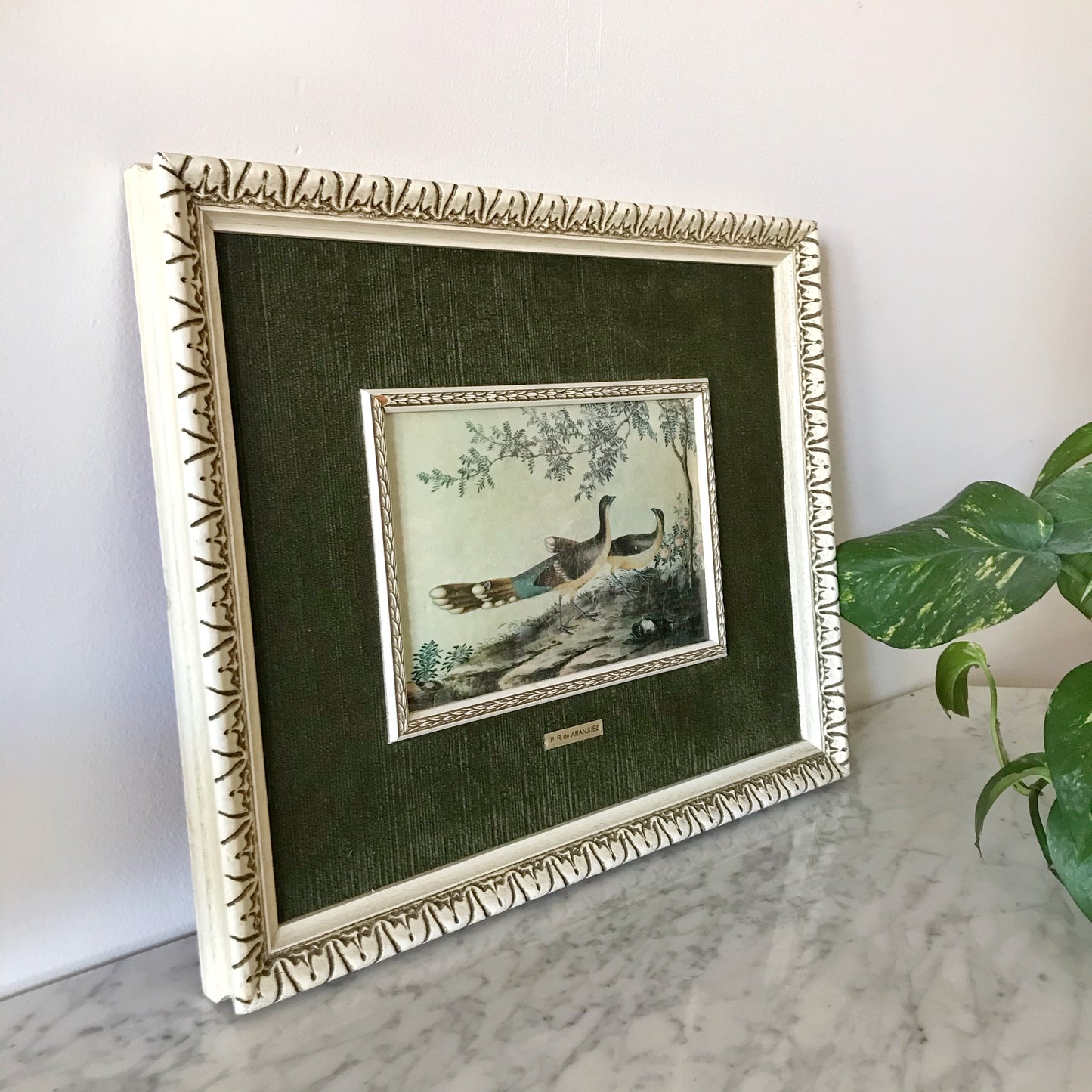 Vintage Peacock Artwork