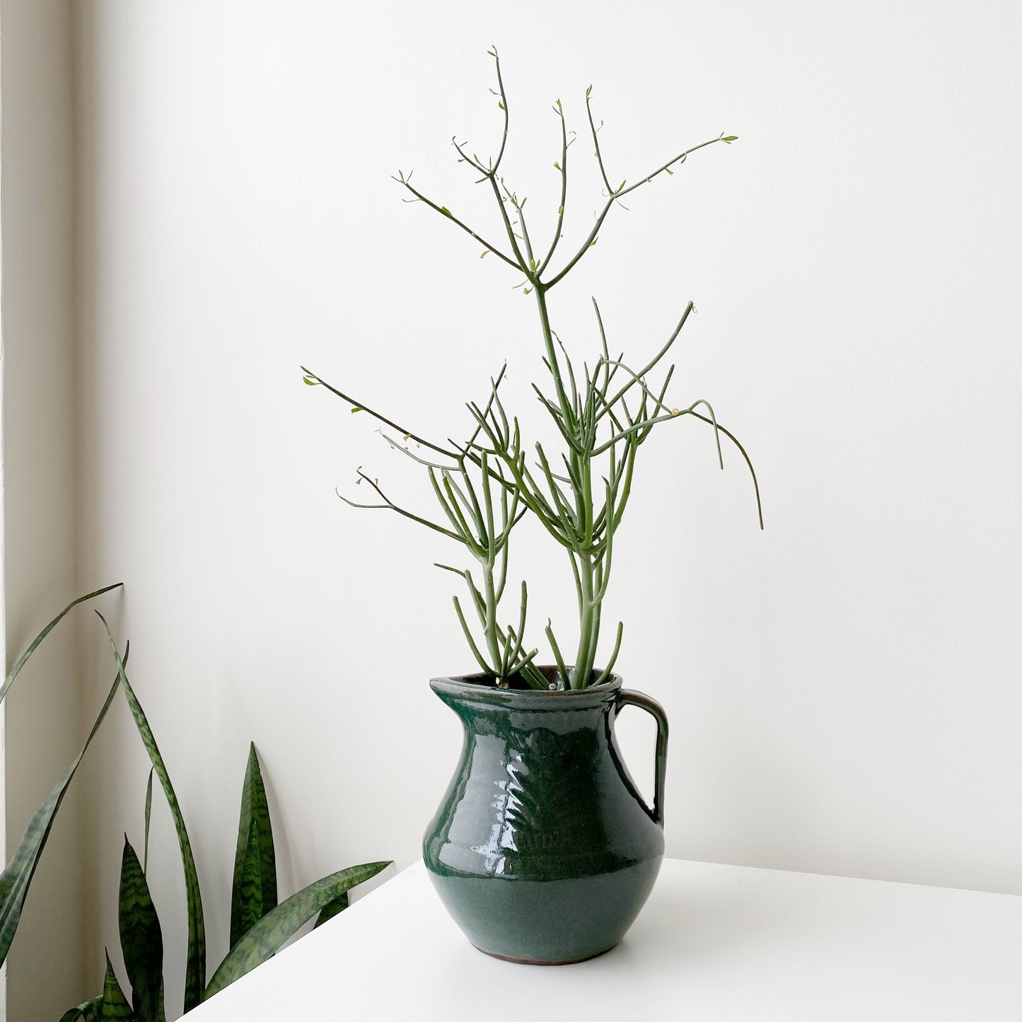 X-Large Handcrafted Green Stoneware Pitcher Vase