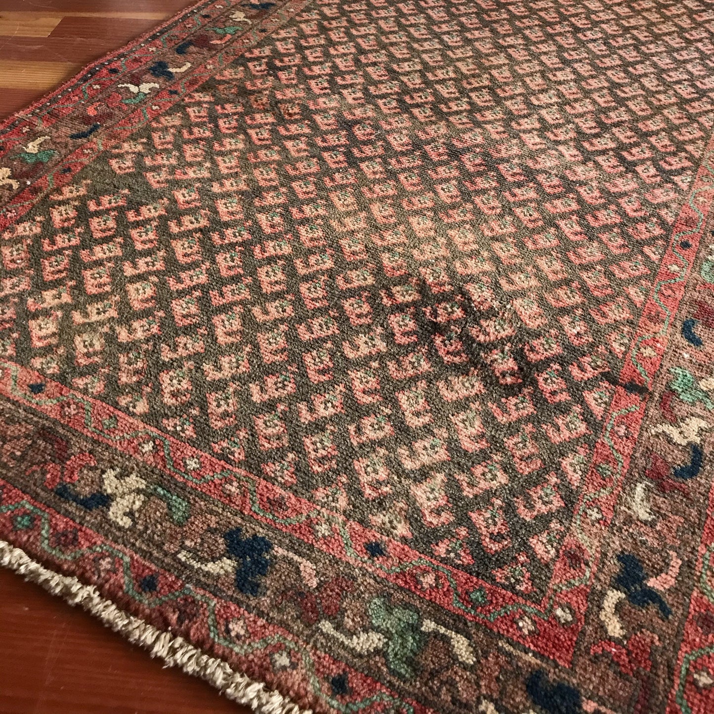 "EMMA" Vintage Hand-knotted Rug (3.4 x 4.9)