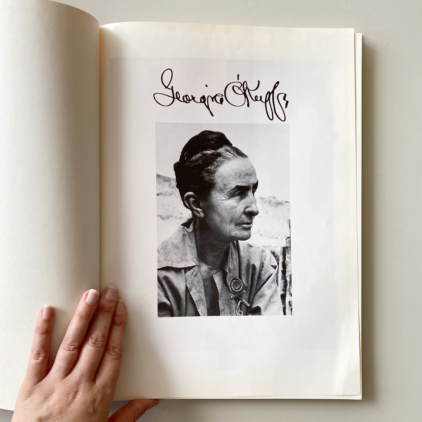 Book: Georgia O’Keeffe, by Maria Costantino