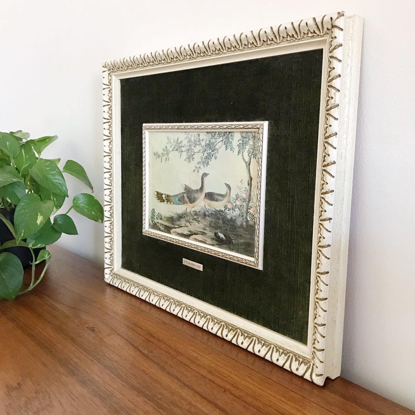 Vintage Peacock Artwork