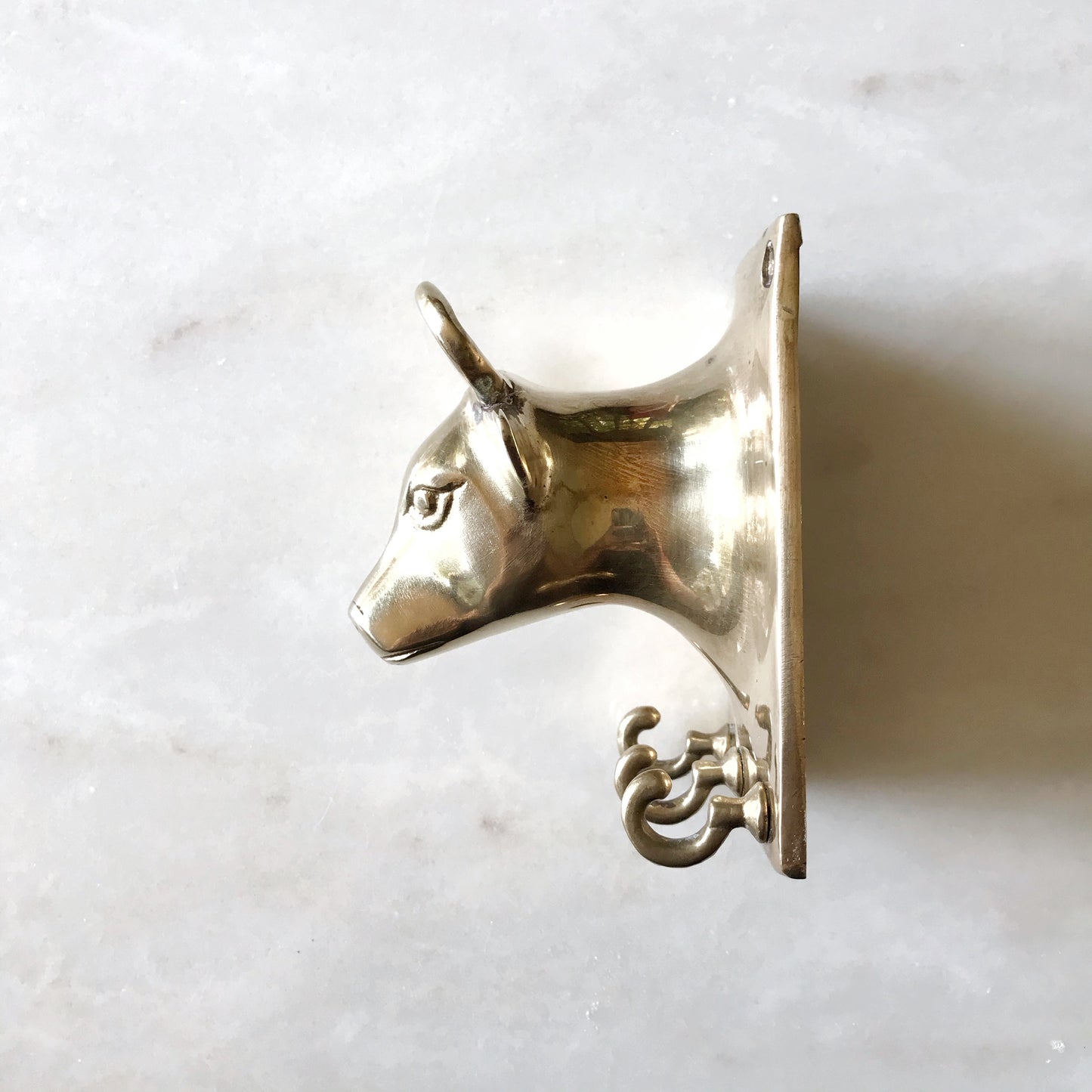 Vintage Brass Bull Wall Piece with Hooks