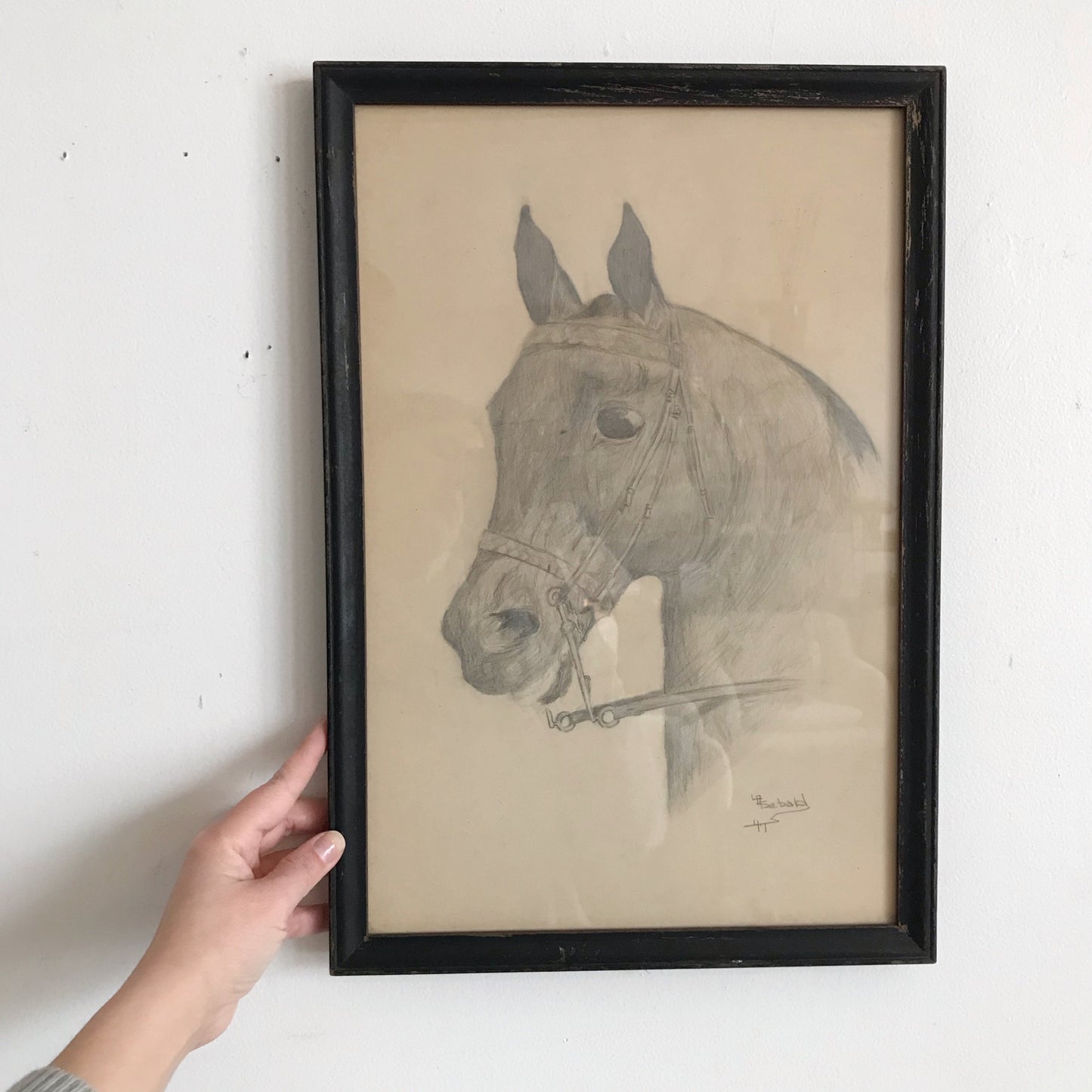 Vintage Original Pencil Drawing, Horse Portrait