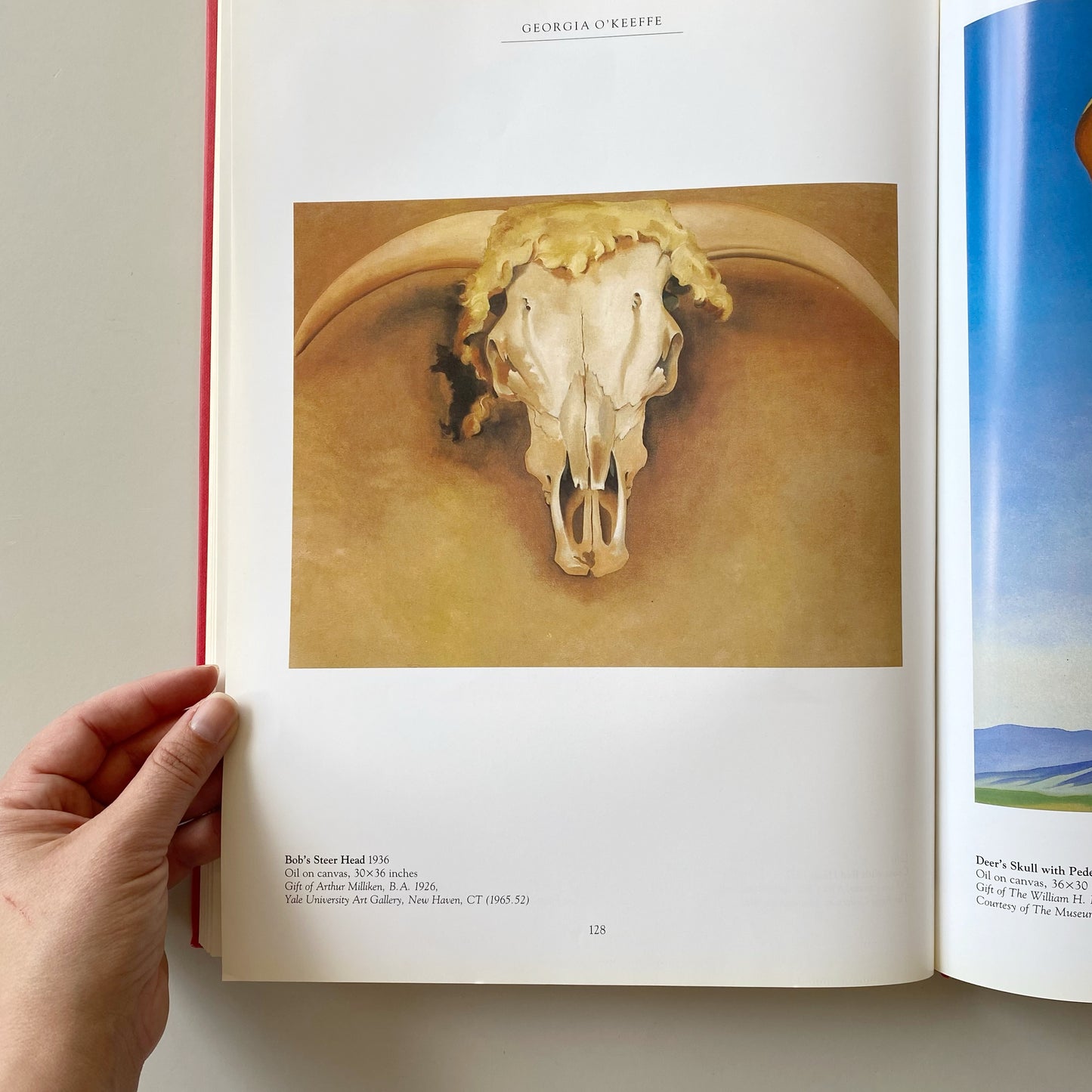 Book: Georgia O’Keeffe, by Maria Costantino