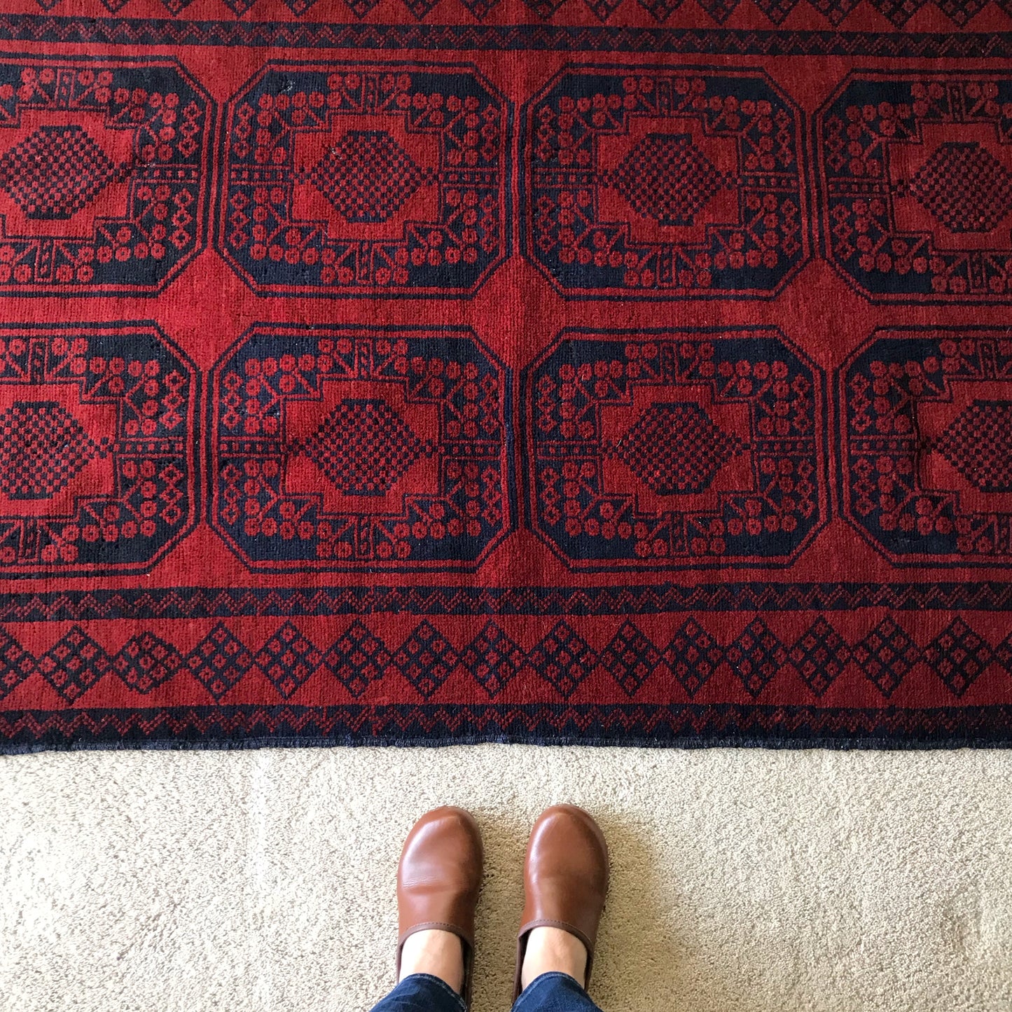 Wesley | Area Rug | 3 x 5.6