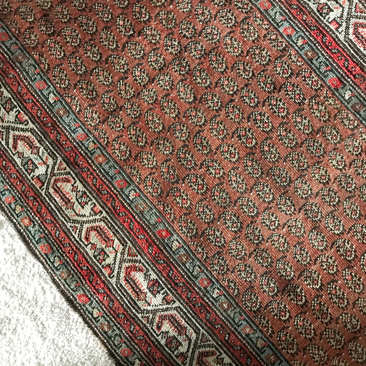 “LONNY” Antique Persian Runner (16.4 x 3.4)