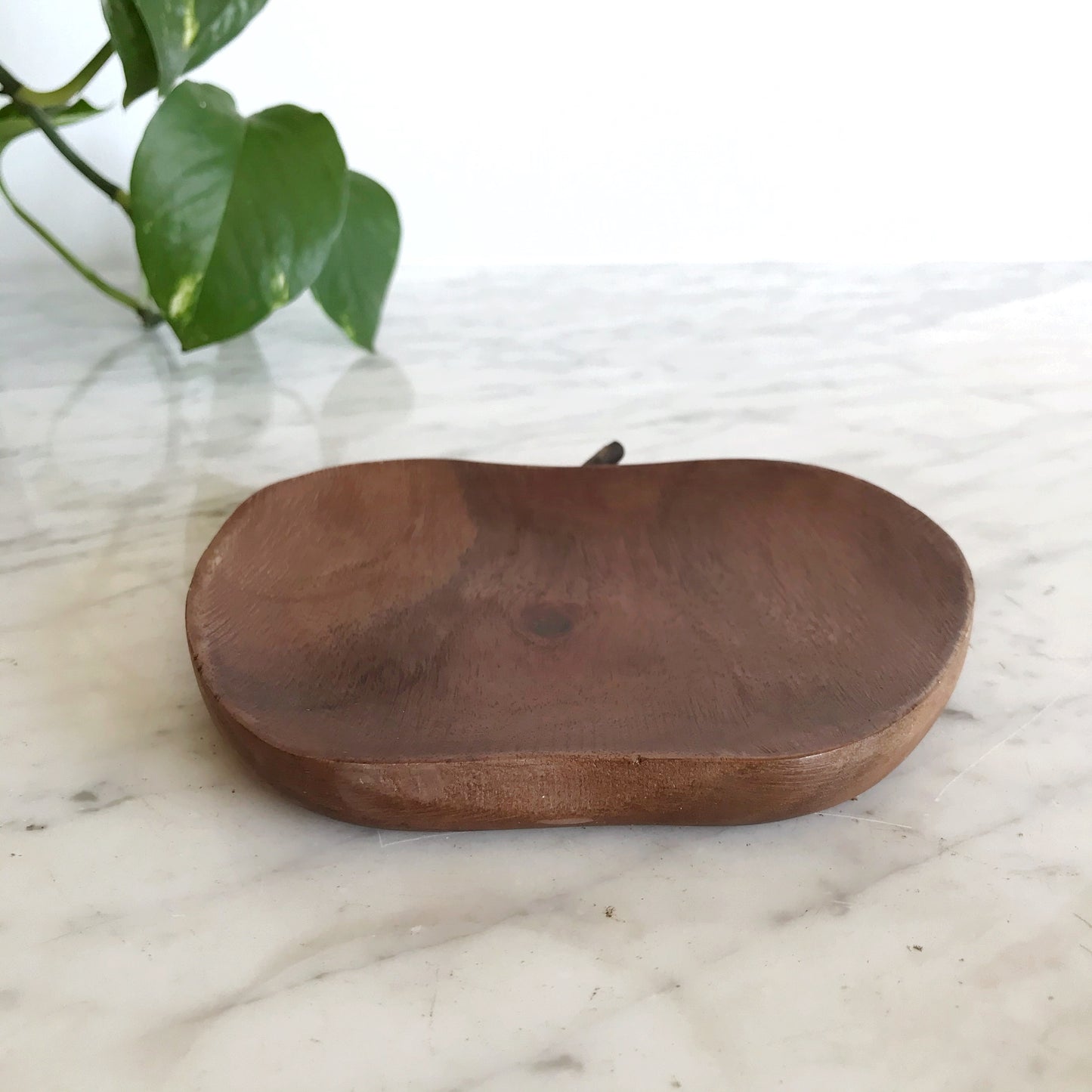 Wood Apple Dish