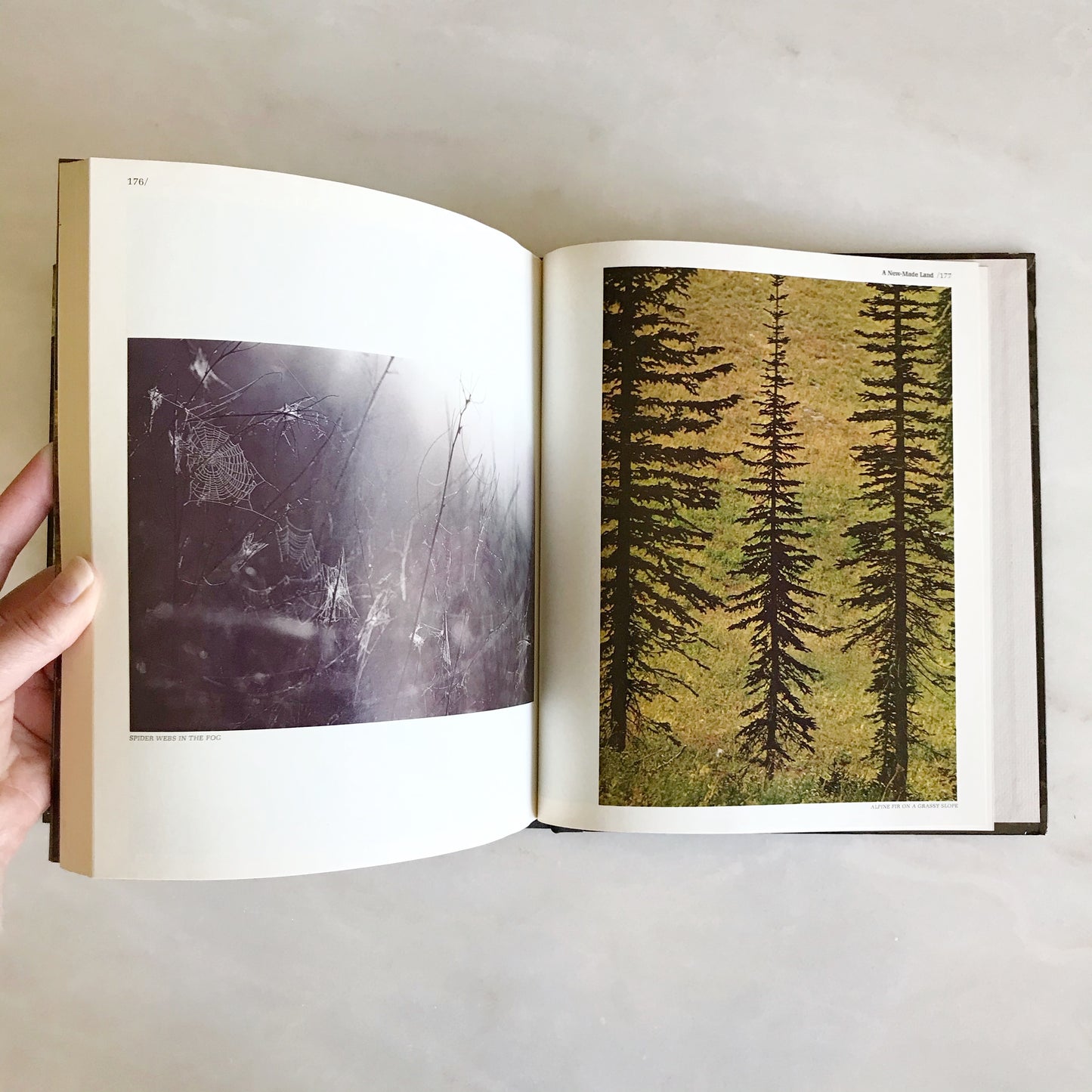 Book: The Snake River Country