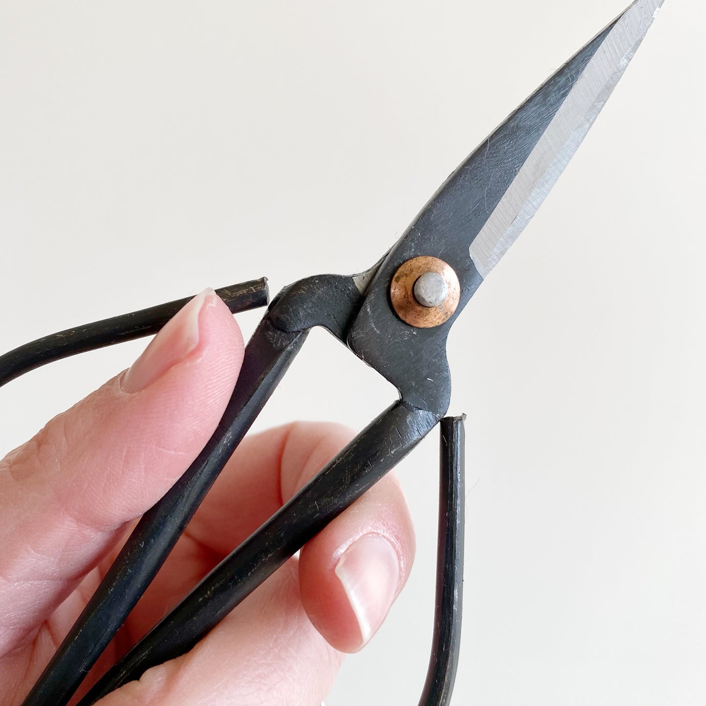 Forged Steel Pruning Shears
