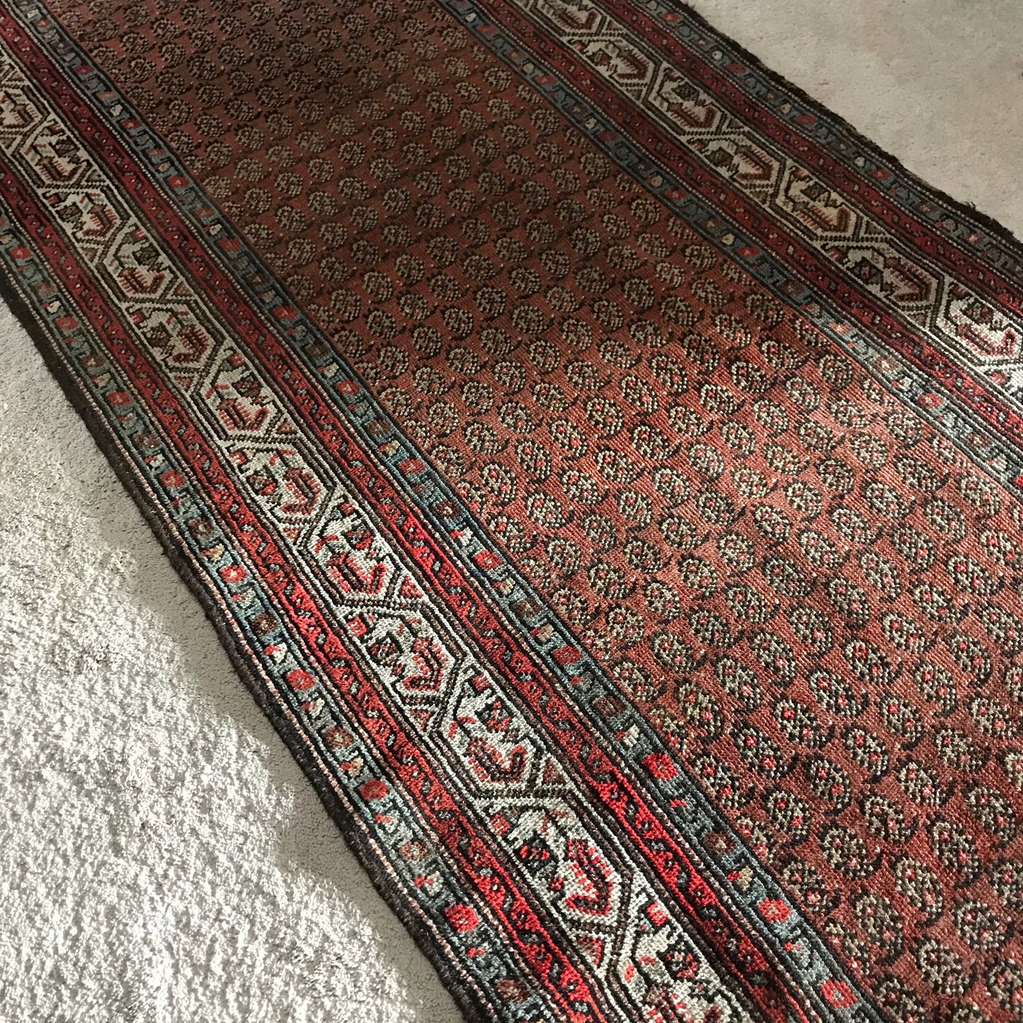 “LONNY” Antique Persian Runner (16.4 x 3.4)