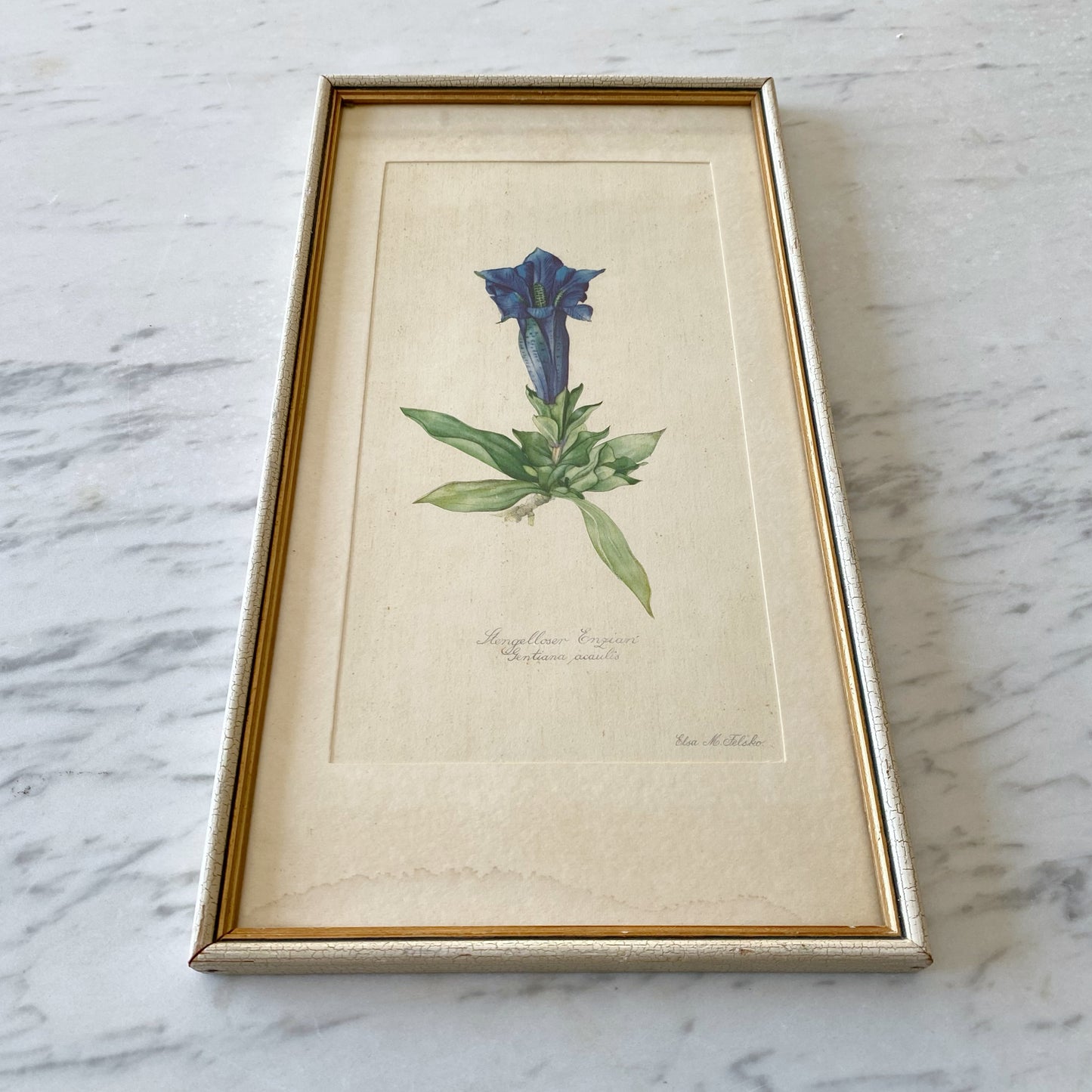 Vintage Framed Mountain Flower Print