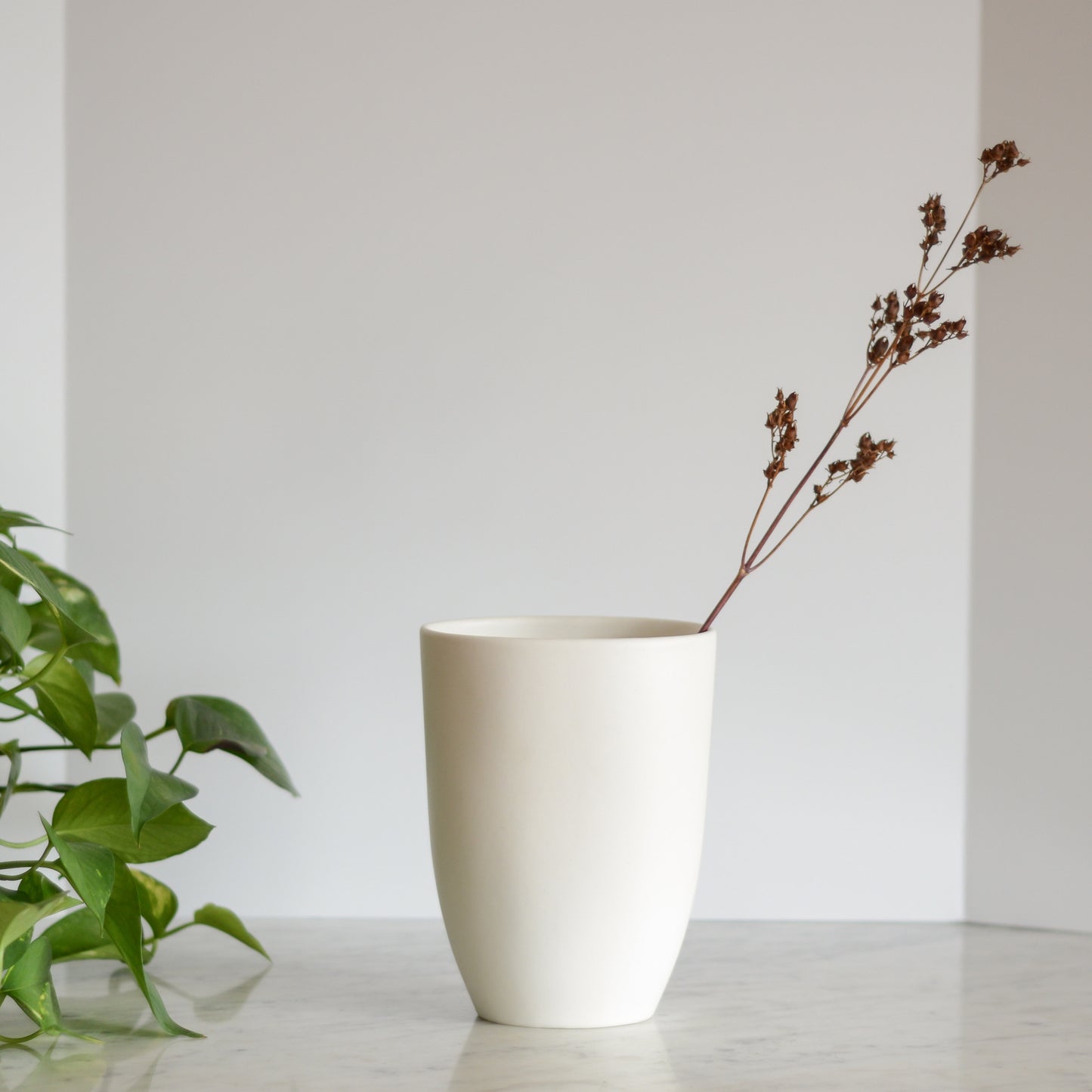 Simple Matte White Vase, Romania