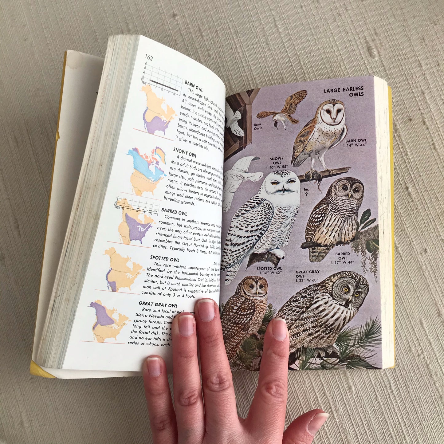 Book: BIRDS OF NORTH AMERICA