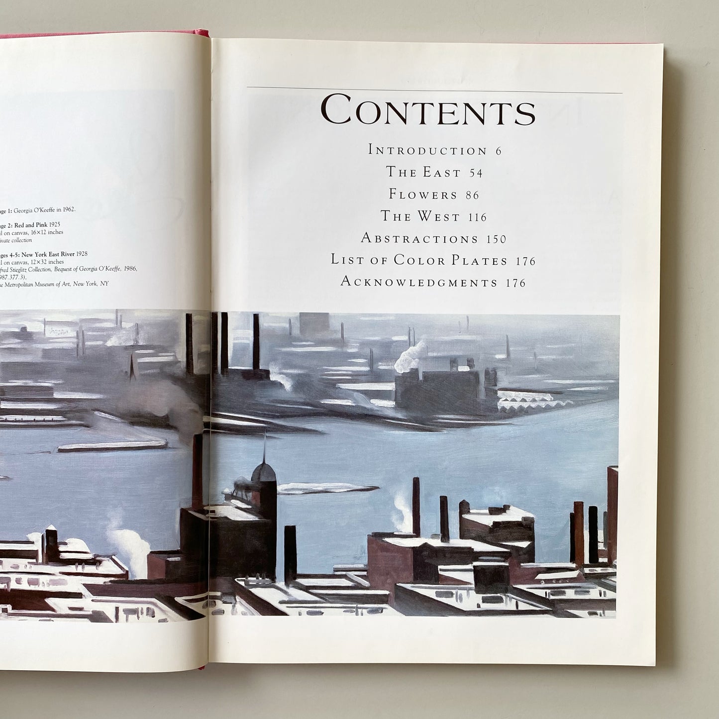 Book: Georgia O’Keeffe, by Maria Costantino